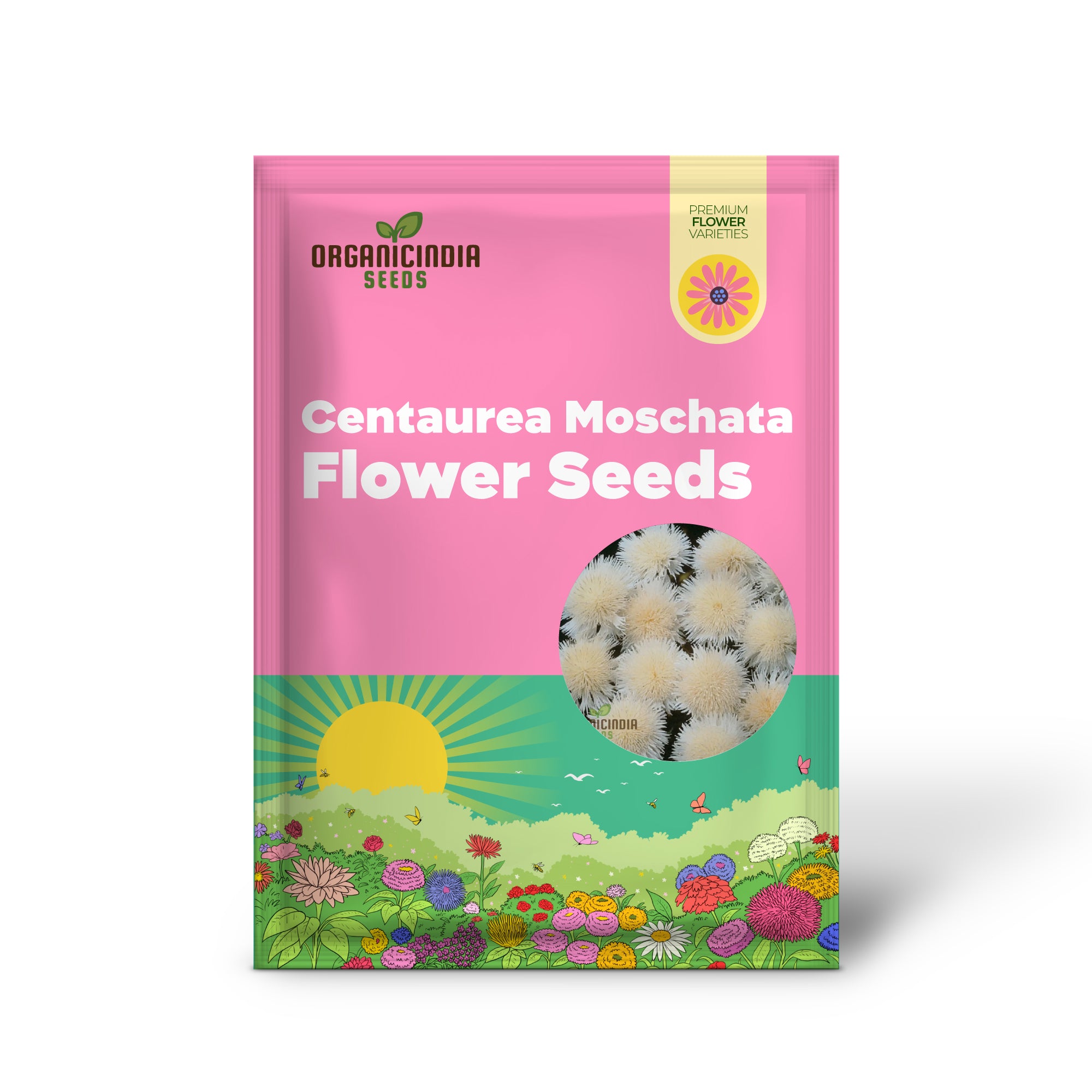 Centaurea Moschata White Flower Seeds,  Premium Quality for Stunning Garden Blooms, Ideal for Gardening