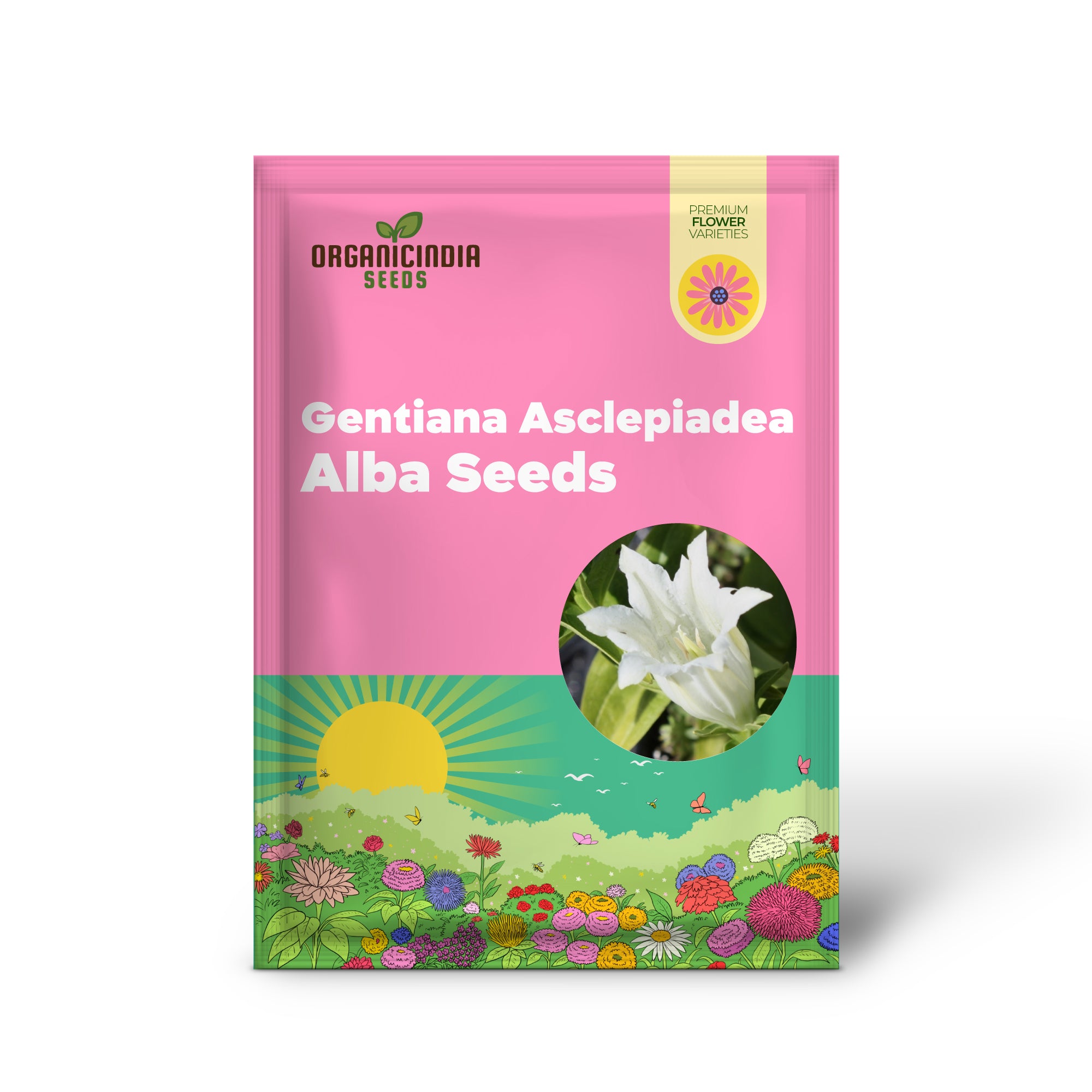 Gentiana Asclepiadea Alba Seeds For Planting - White Alpine Willow Gentian - Hardy Perennial Flower for Garden Planting