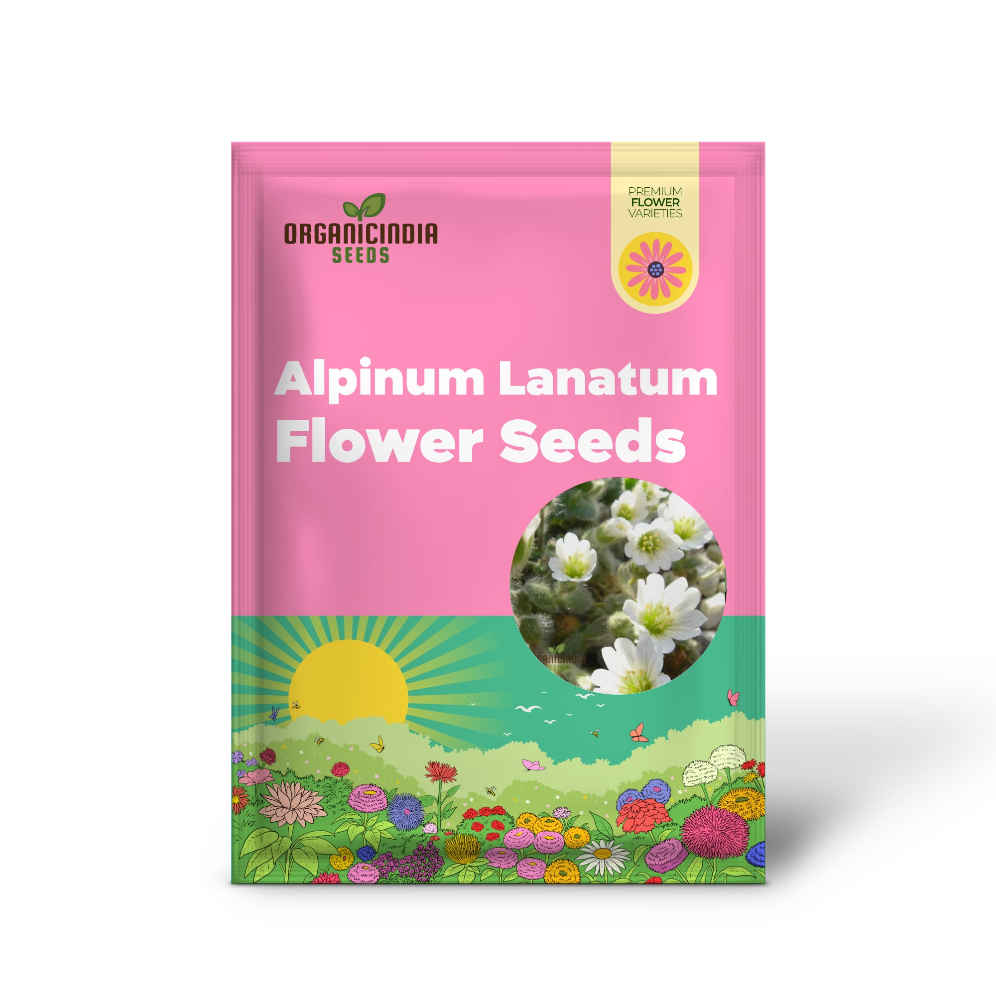 Cerastium Alpinum Lanatum Flower Seeds,  Premium Quality Seeds for Beautiful Alpine Garden Blooms
