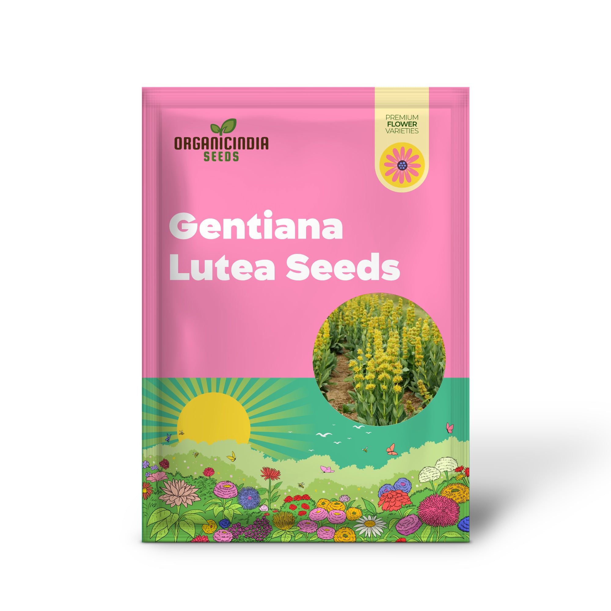 Gentiana Lutea Seeds For Planting: A Complete Guide to Growing and Caring for the Majestic Yellow Gentian