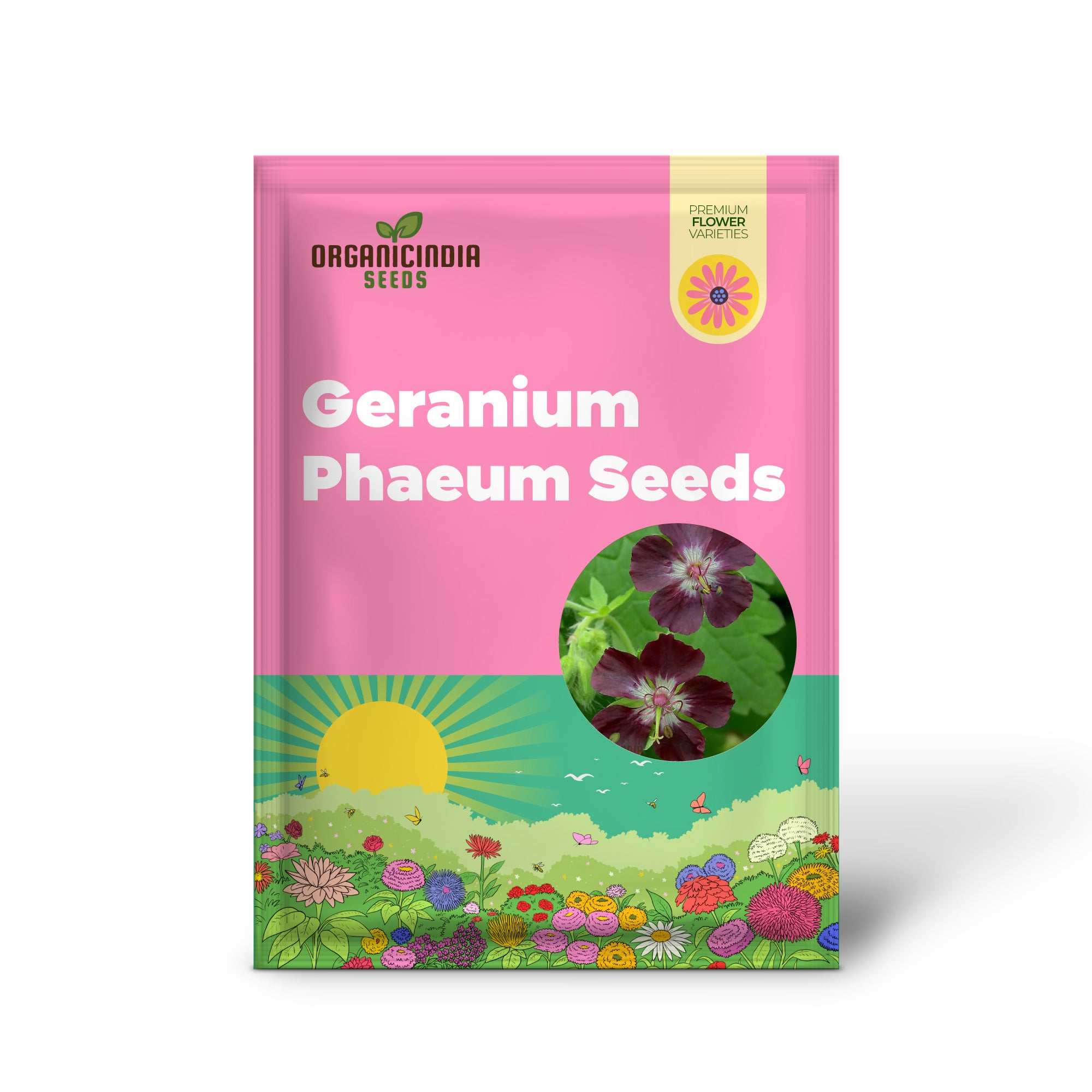 Geranium Phaeum Seeds, Gardener's Delight: Elegant Shade-Loving Cranesbill for Your Tranquil Garden