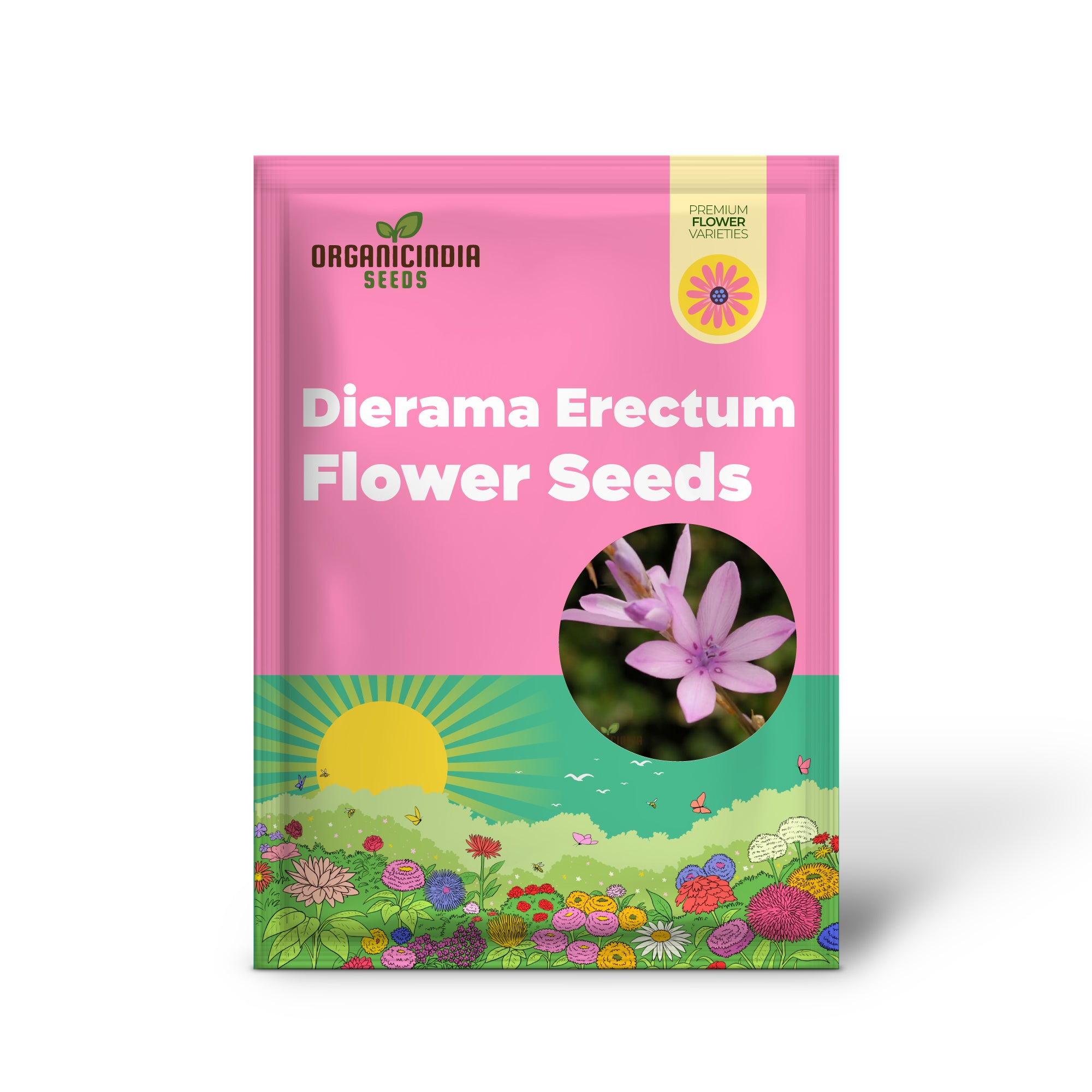 Dierama Erectum Flower Seeds for Planting, Add Sparkle and Elegance to Your Garden