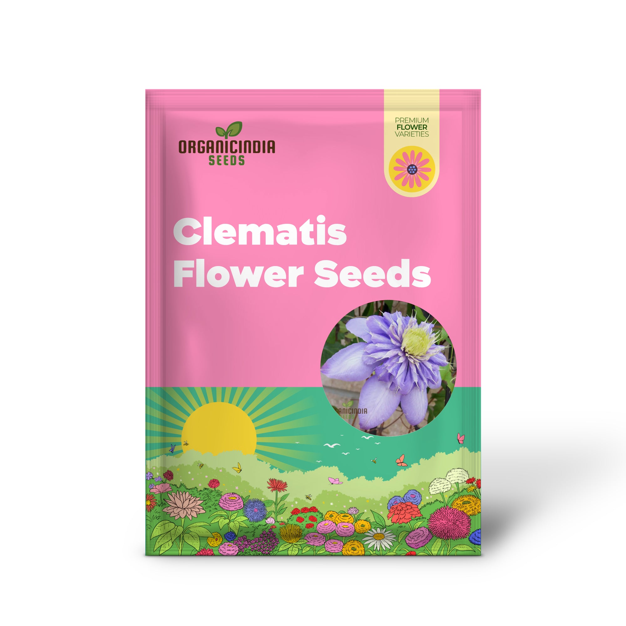 Clematis 'Baby Blue' Flower Seeds for Planting, Premium Quality Garden with Beautiful Blooms