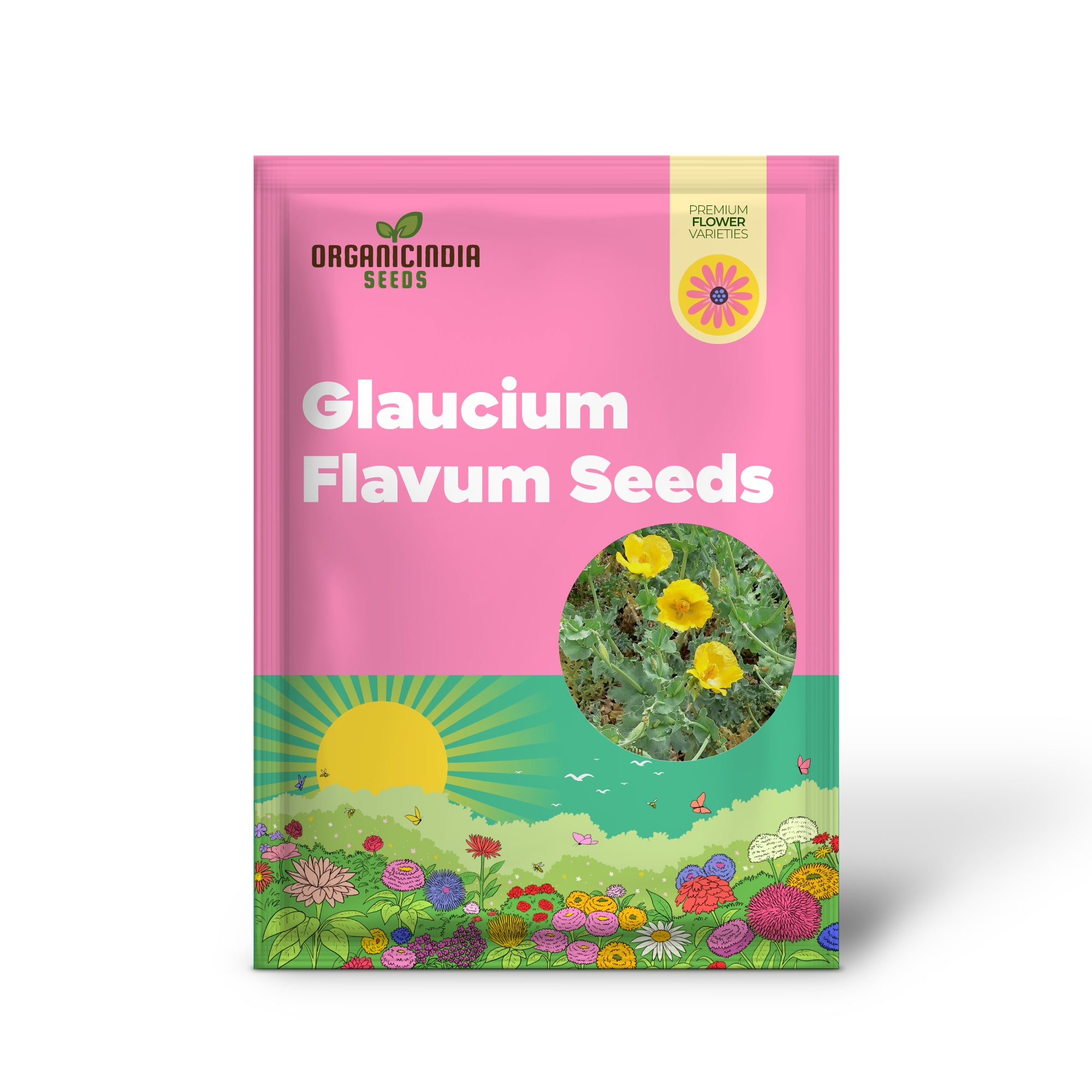 Glaucium Flavum Seeds - Yellow Horned Poppy for Gardening Enthusiasts: Exquisite Flowers and Easy Care