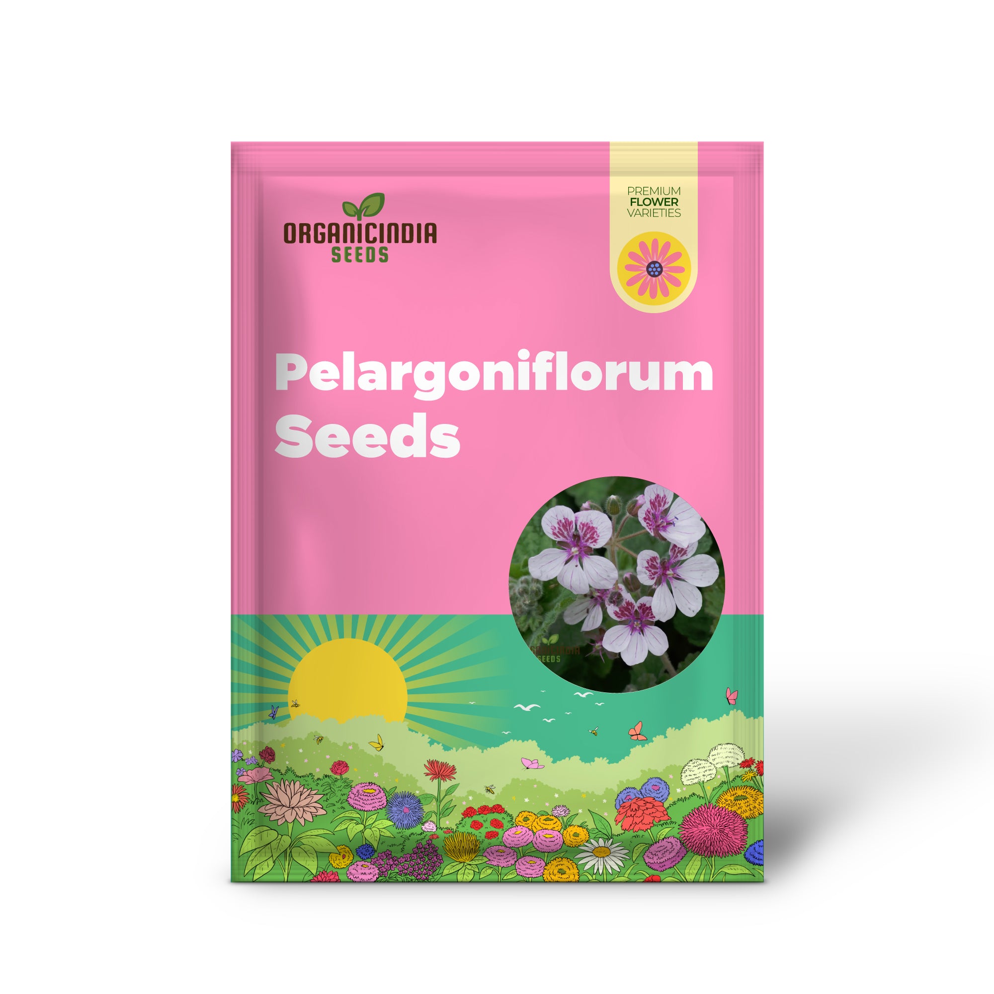Erodium Pelargoniflorum Seeds - Exquisite Geranium-Like Flowers for Your Garden - Gardening Seeds