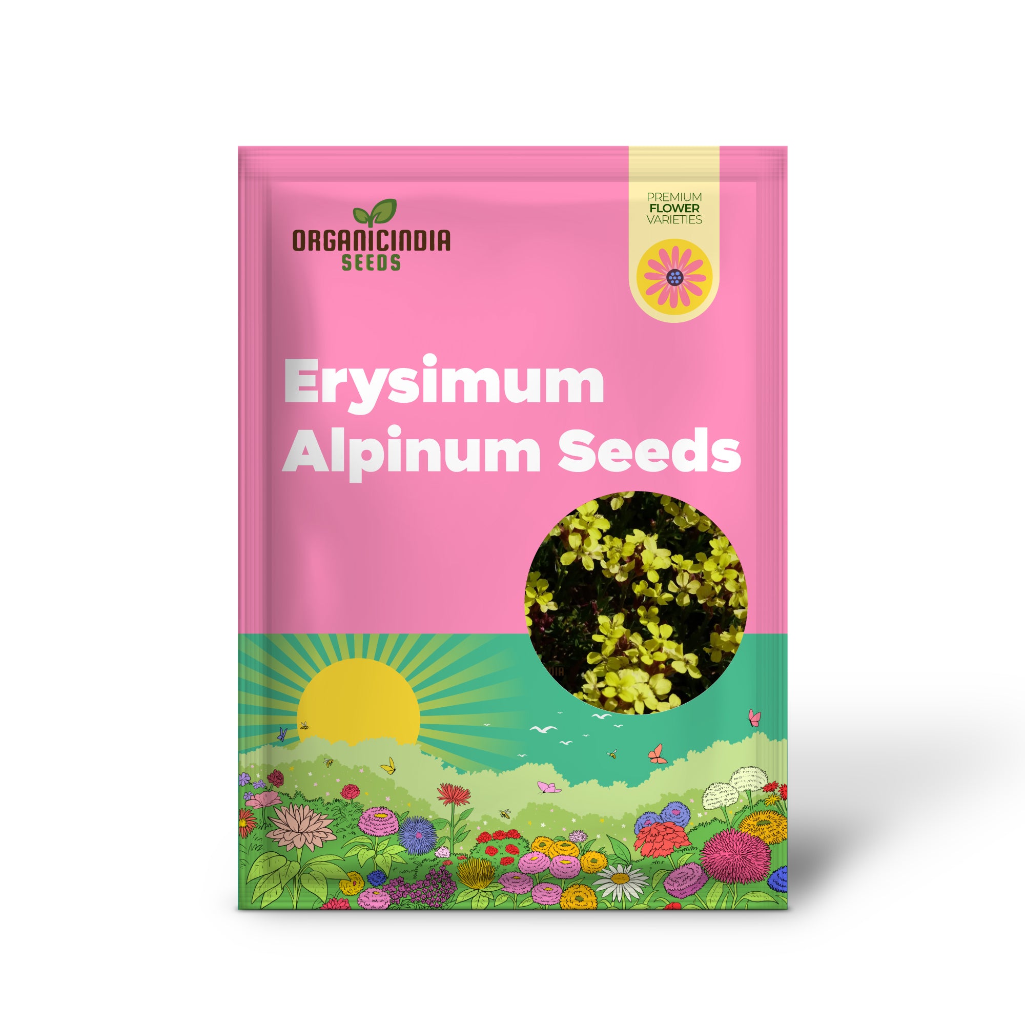 Erysimum Alpinum Seeds For Planting - Vibrant Alpine Wallflower Seeds for Gardeners and Landscapers