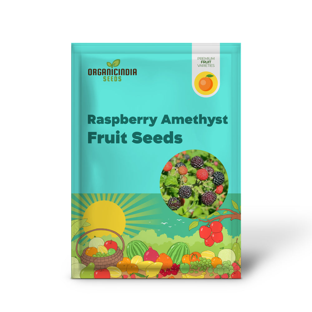 Amethyst Raspberry Plant We use cookies and similar technologies to provide the best experience ...