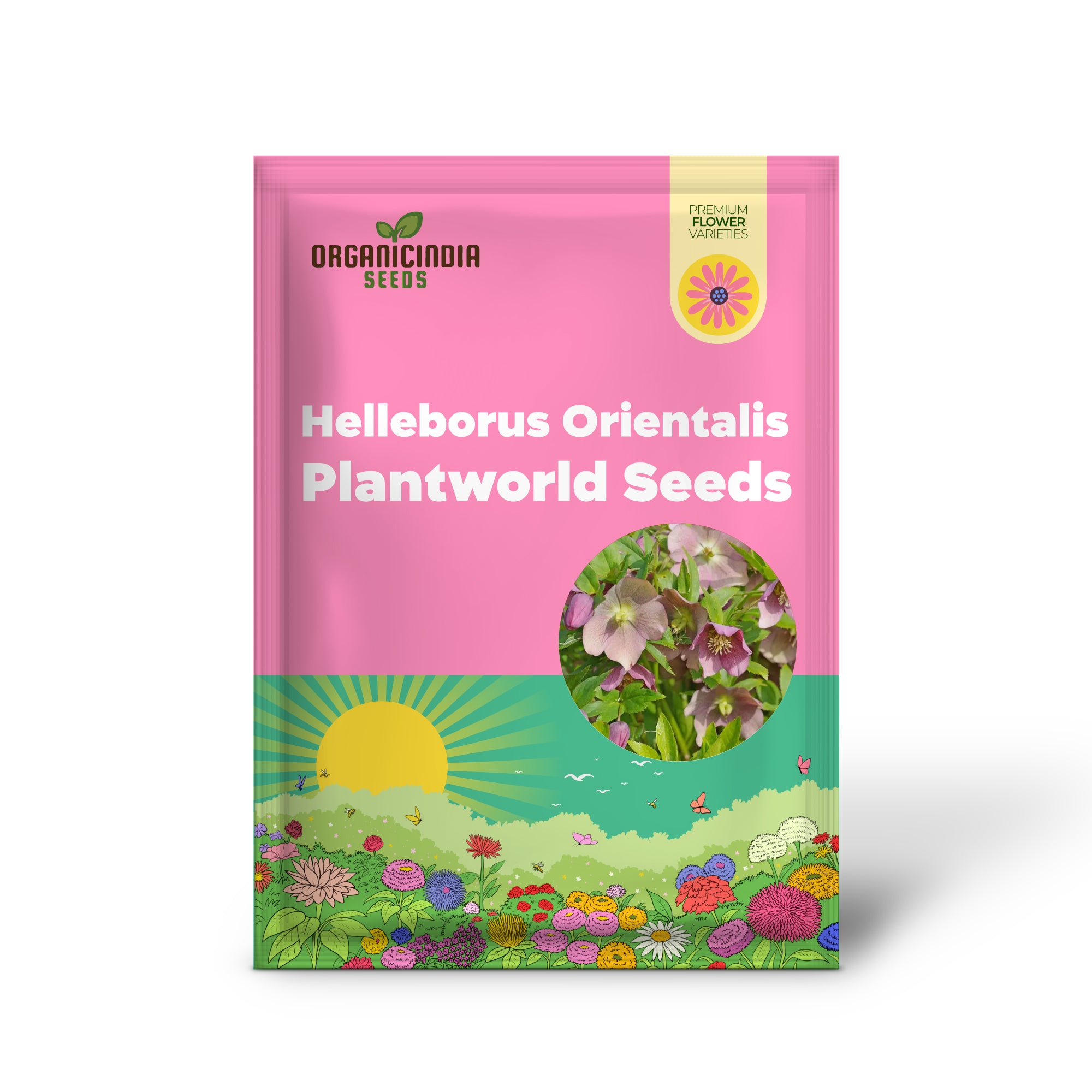 Graines d'hellébore orientalis Plantworld Doubles | Un délice de jardinage exquis pour votre jardin 