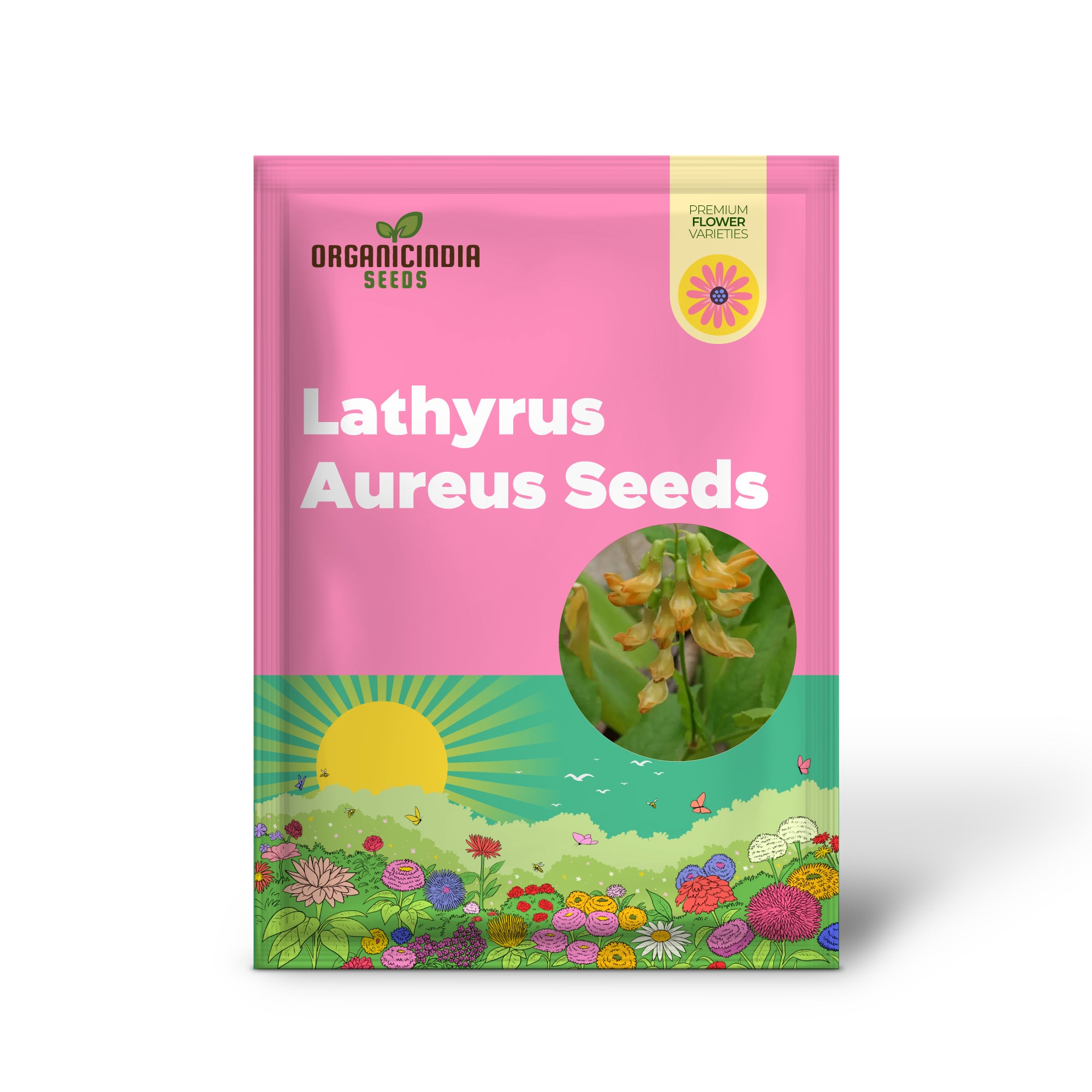 Graines de Lathyrus Aureus pour une expérience de jardin florissante - Adoptez la beauté de la nature !