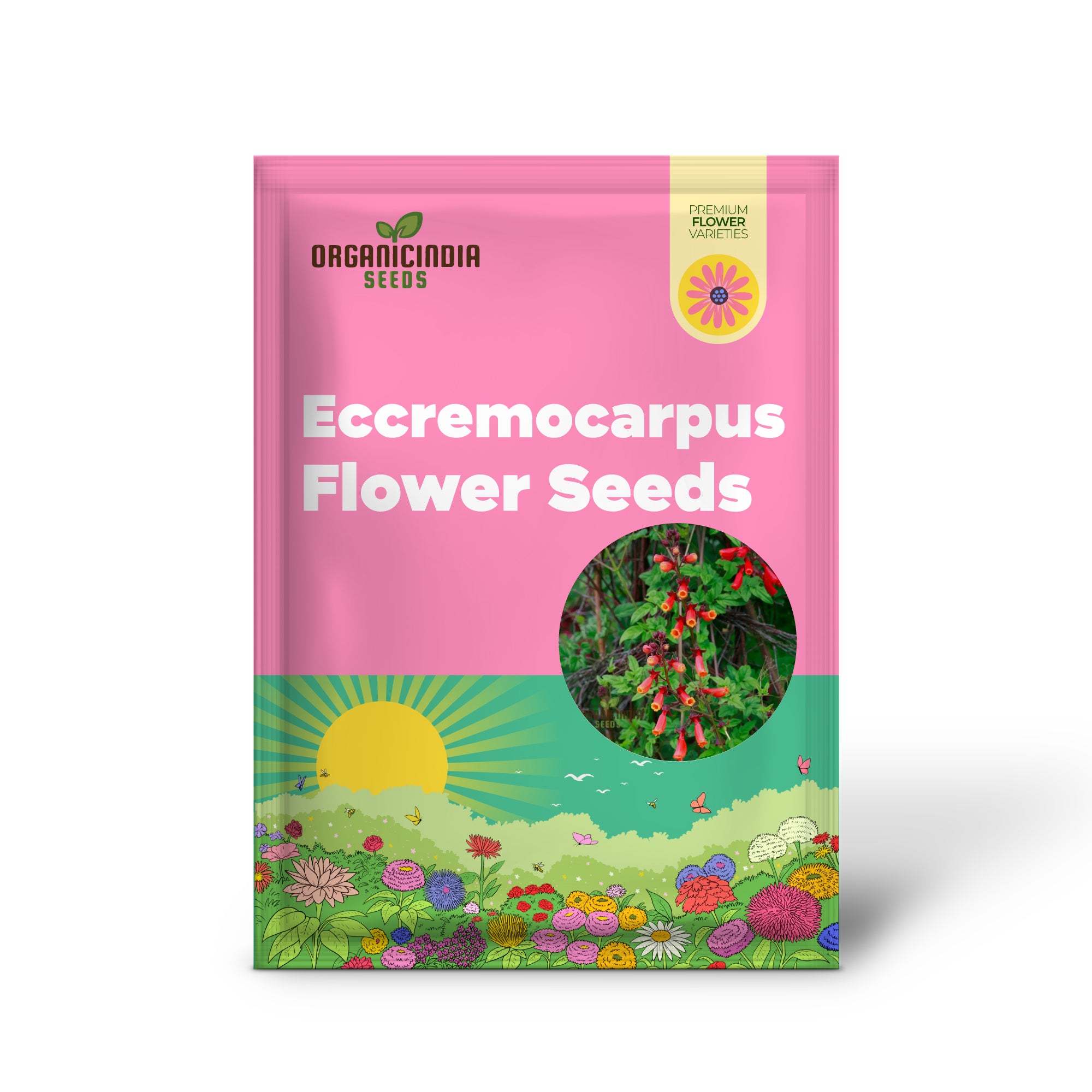 Graines de fleurs Eccremocarpus Scaber 'Flame Colours', enflammant votre jardin avec des teintes vibrantes