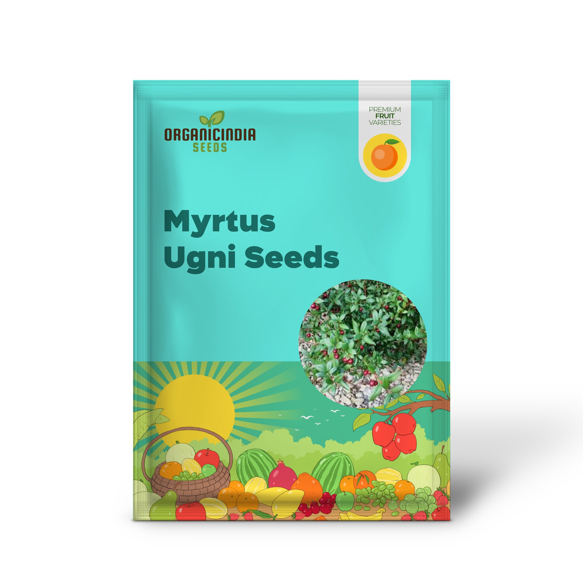Graines de Myrtus Ugni pour un jardinage expert : sublimez votre jardin avec ces baies rares et exotiques