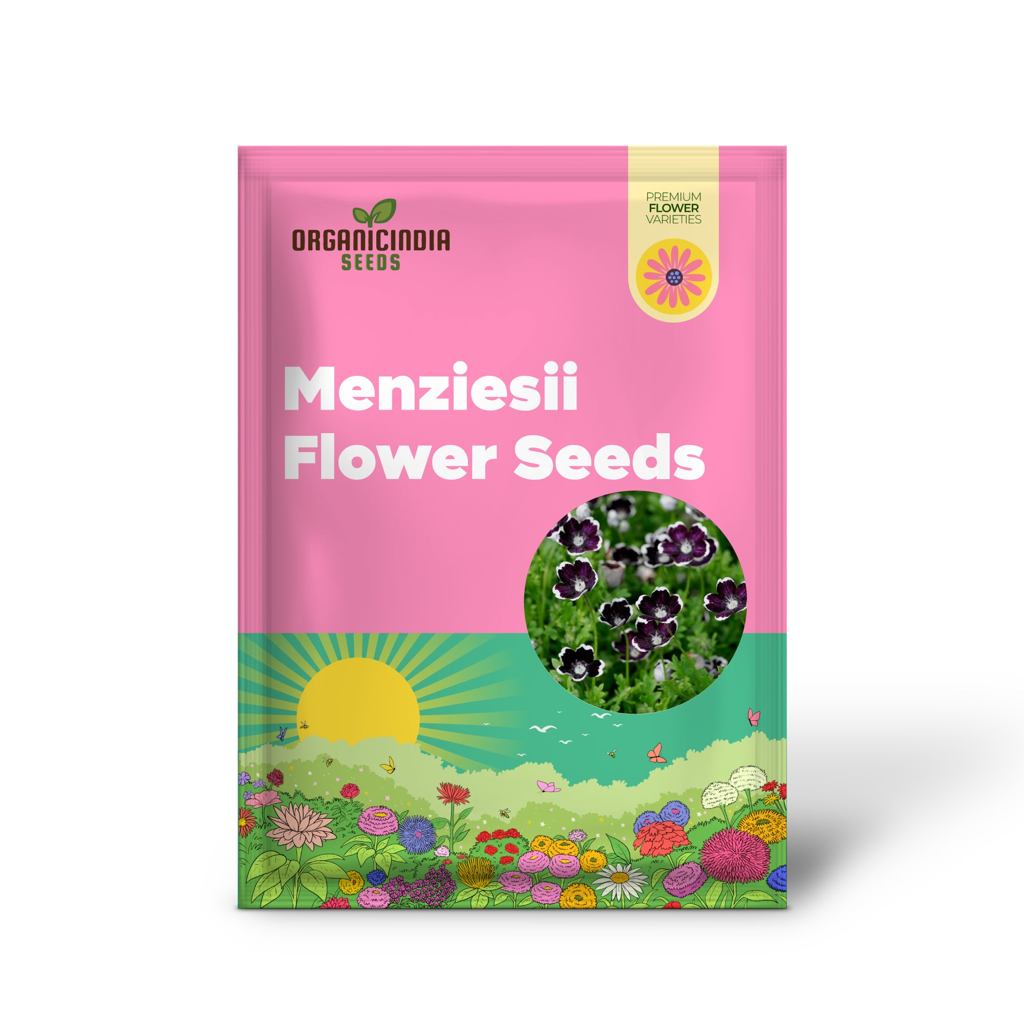 Nemophila Menziesii 'Penny Black' Seeds for Beautiful Gardening: Enhance Your Garden with Unique and Stunning Blooms