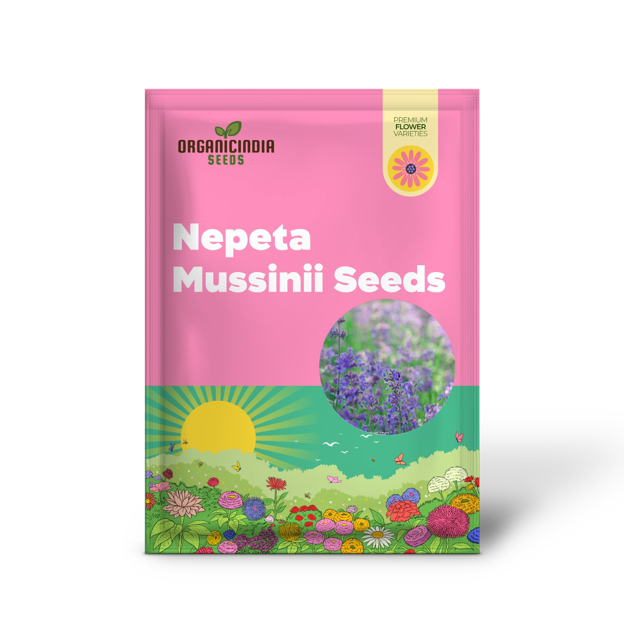 Graines de Nepeta Mussinii pour des fleurs de jardin éclatantes | Plante vivace rustique pour une verdure luxuriante