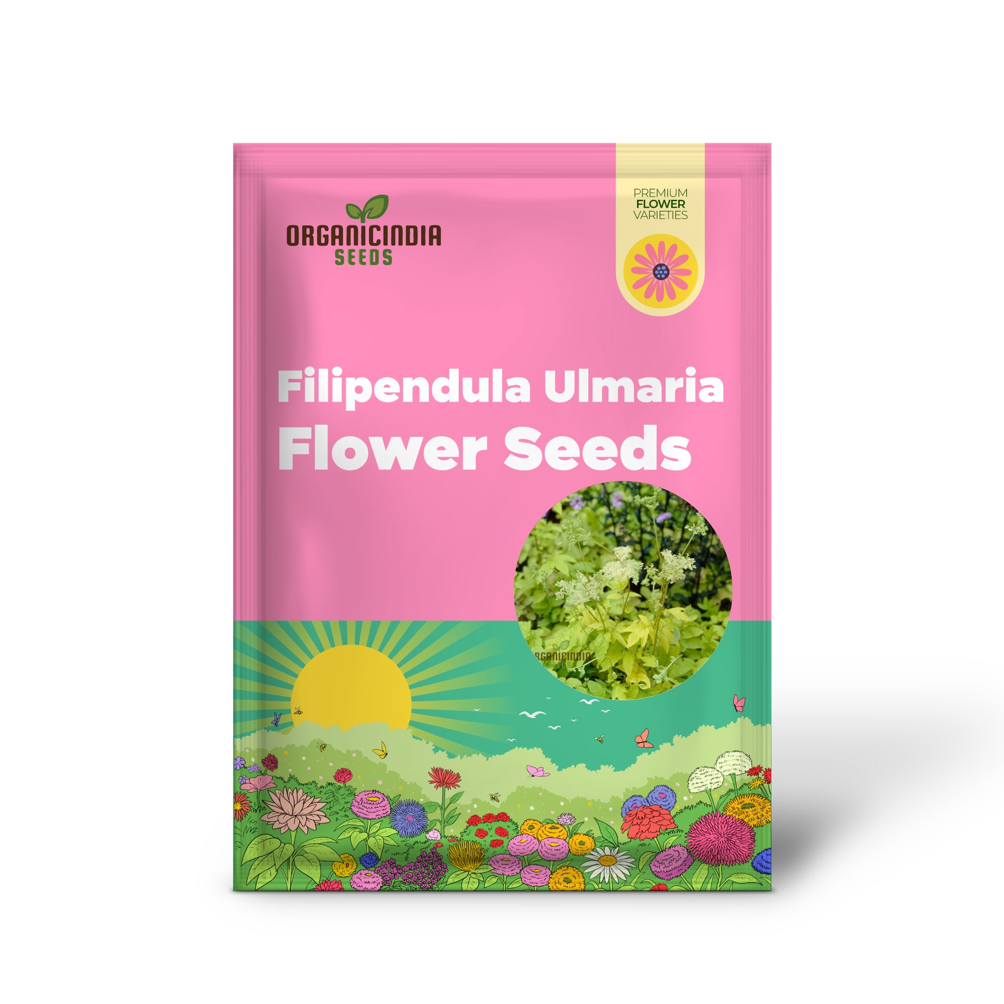 Filipendula Ulmaria 'Aurea' Seeds - Exquisite Yellow Meadow Sweet for Planting and Garden Beauty
