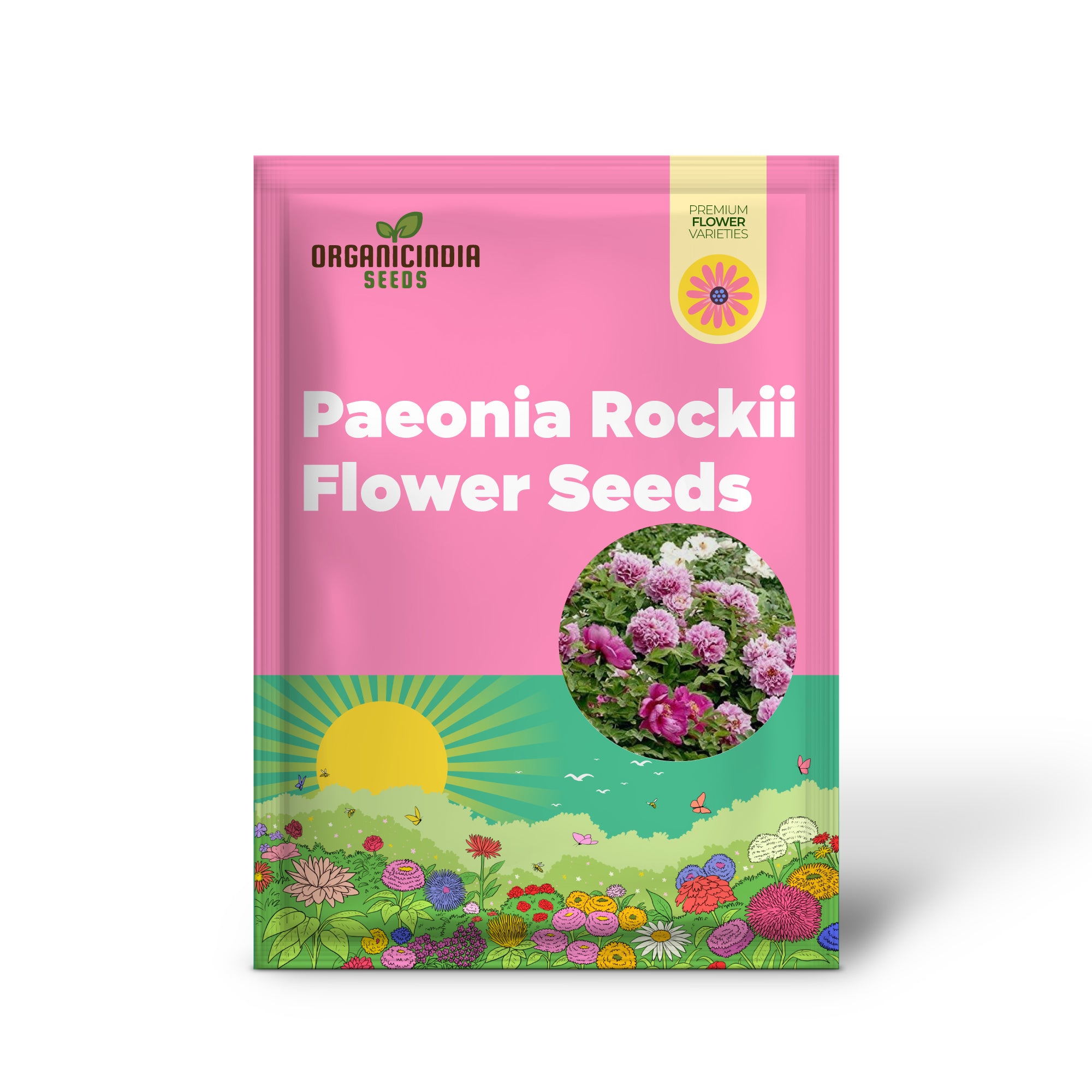 Graines de Paeonia Rockii de couleurs mélangées pour des fleurs de jardin spectaculaires - Délices du jardinage 