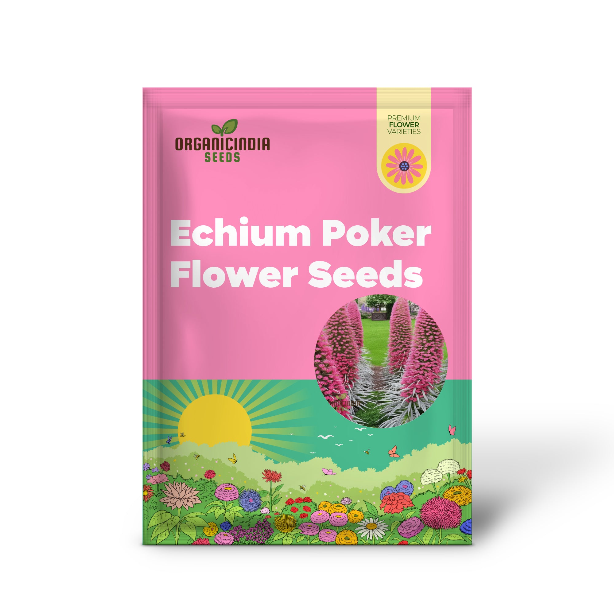 Graines de fleurs de poker rose Echium à planter, graines biologiques de qualité supérieure pour votre jardin