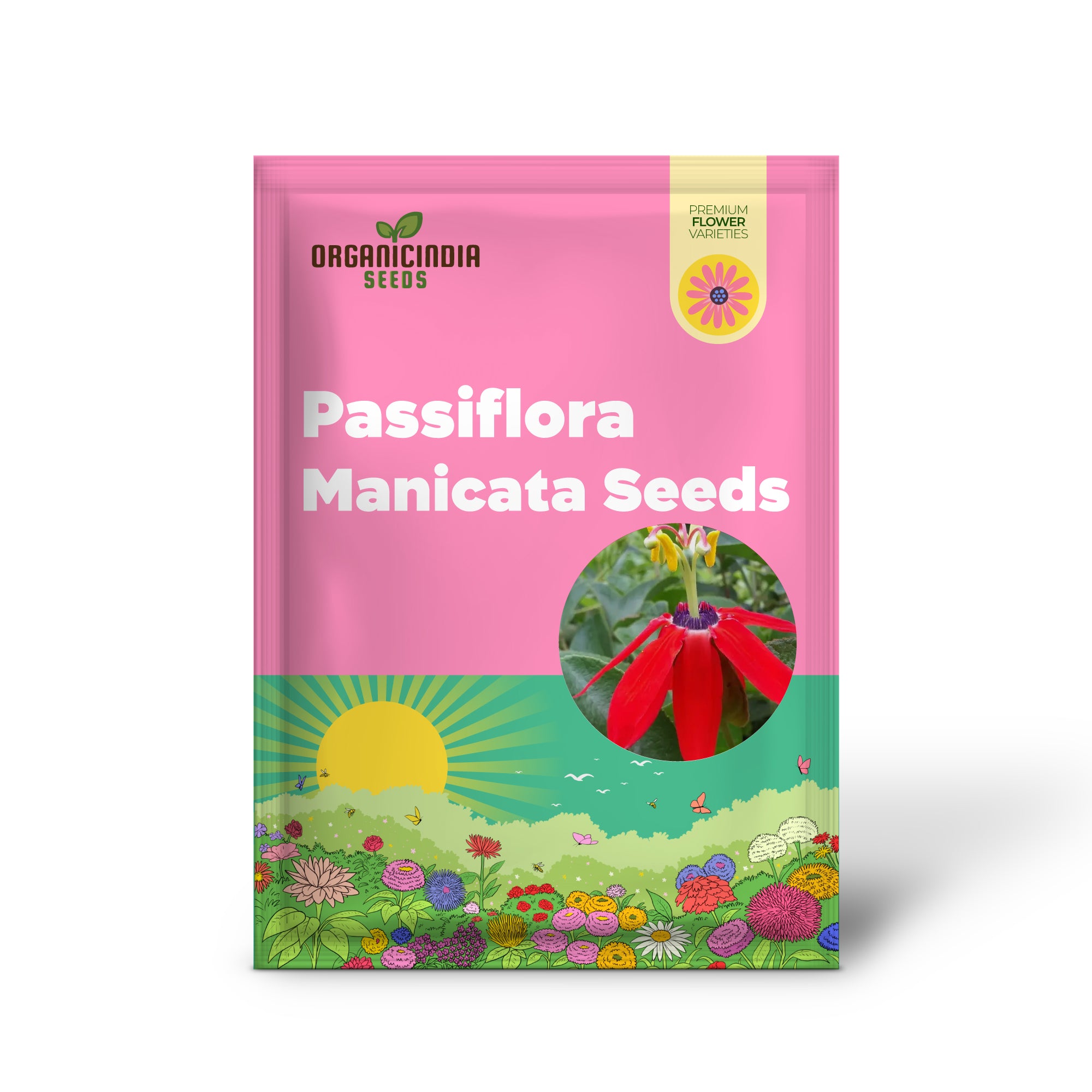 Graines de Passiflora manicata à planter Améliorez votre expérience de jardinage avec des fleurs tropicales uniques !