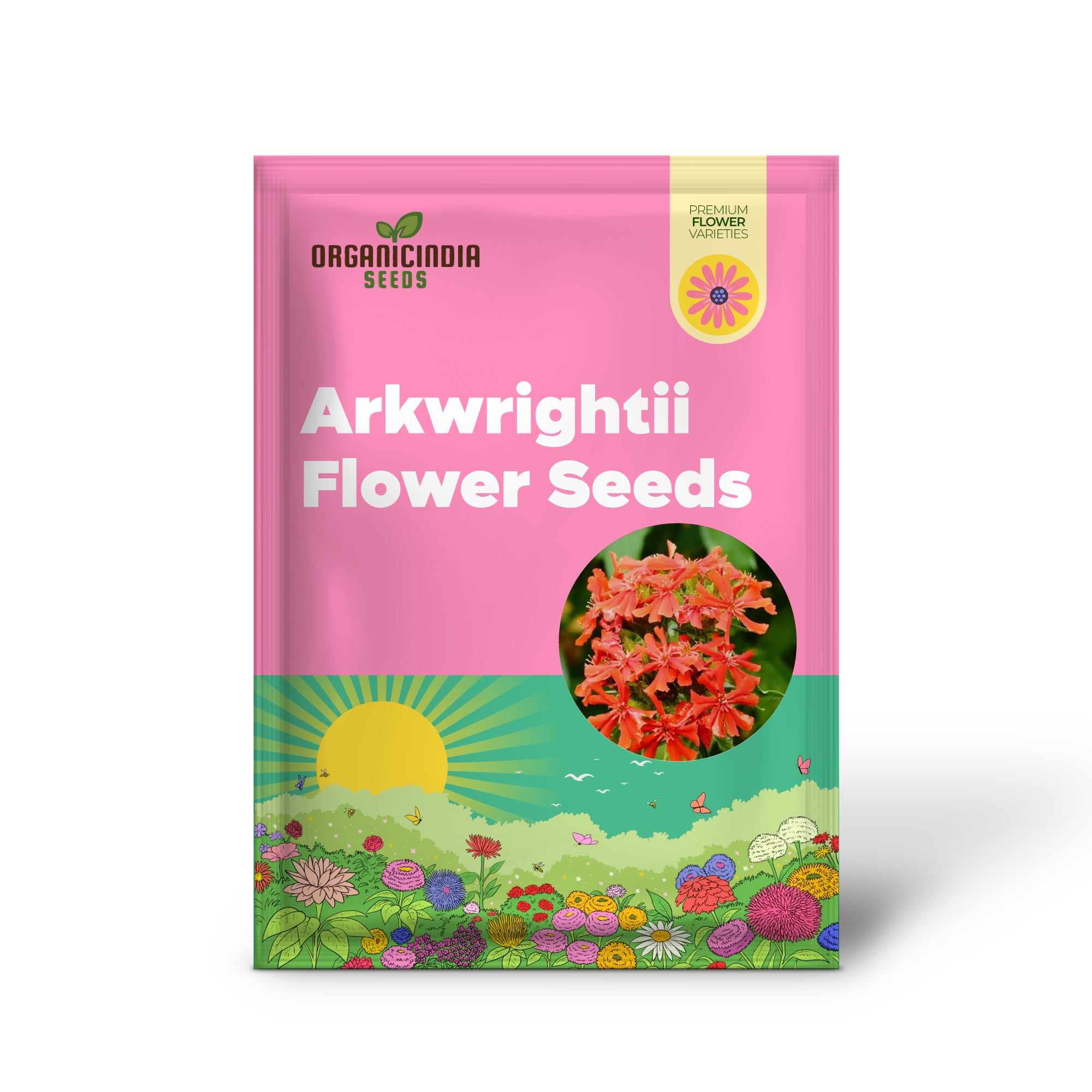 Graines de fleurs de Lychnis Arkwrightii, un ajout dynamique pour votre jardin, graines de jardin de qualité supérieure