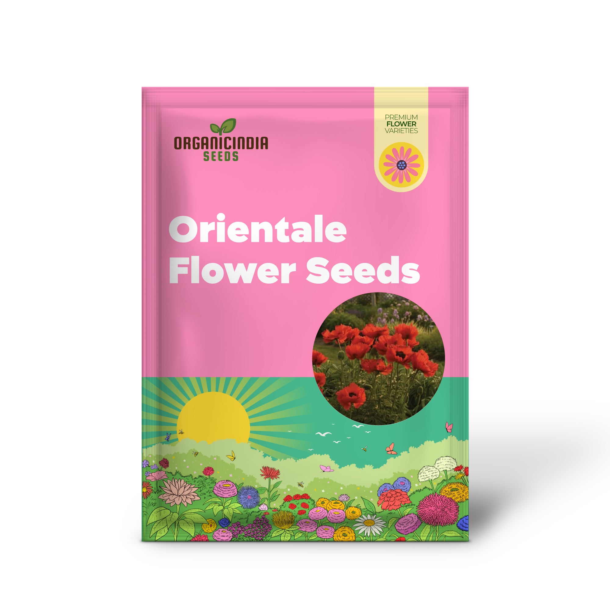 Graines de PAPAVER ORIENTALE 'BRILLIANT' pour des fleurs de jardin éclatantes | Graines de fleurs vivaces robustes pour des projets de jardinage époustouflants