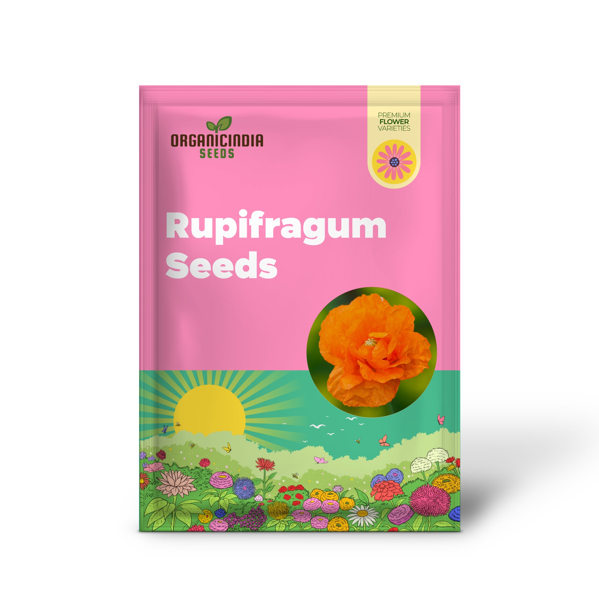 Graines de PAPAVER RUPIFRAGUM 'ORANGE FEATHERS' pour les amateurs de jardinage dynamiques | Graines de Papaver de qualité supérieure pour le charme orange et la beauté naturelle de votre jardin