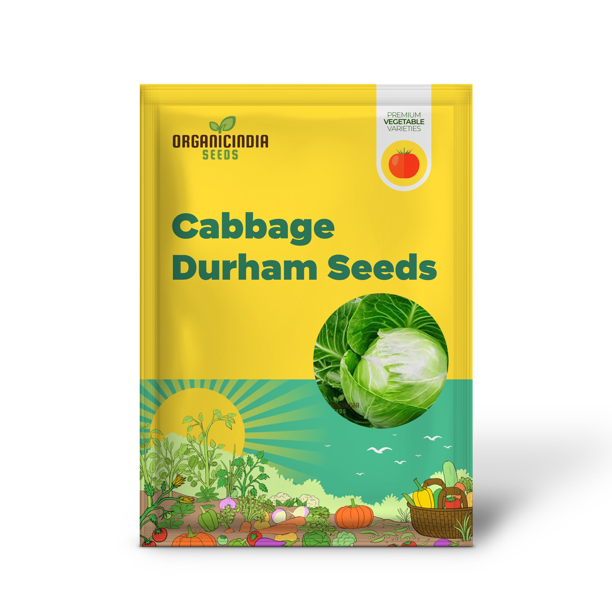 Graines de chou Durham Early | Graines de jardin de qualité supérieure pour une meilleure récolte