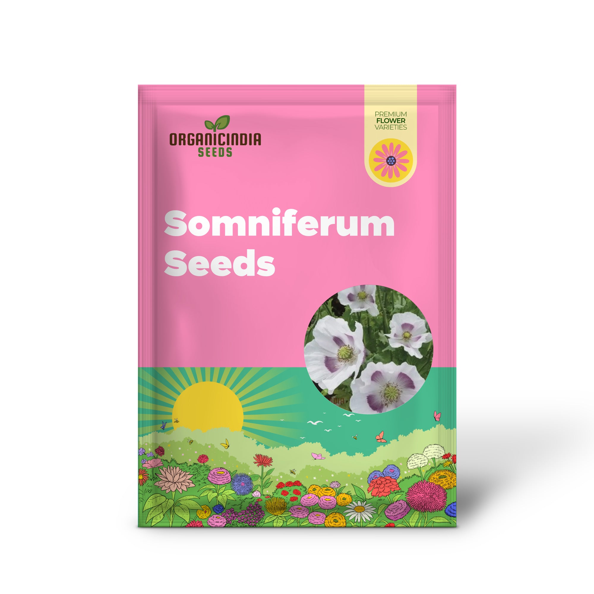 Graines de PAPAVER SOMNIFERUM 'MAANZAAD' - Graines de pavot hollandais de qualité supérieure pour de belles fleurs de jardin et une collection de graines