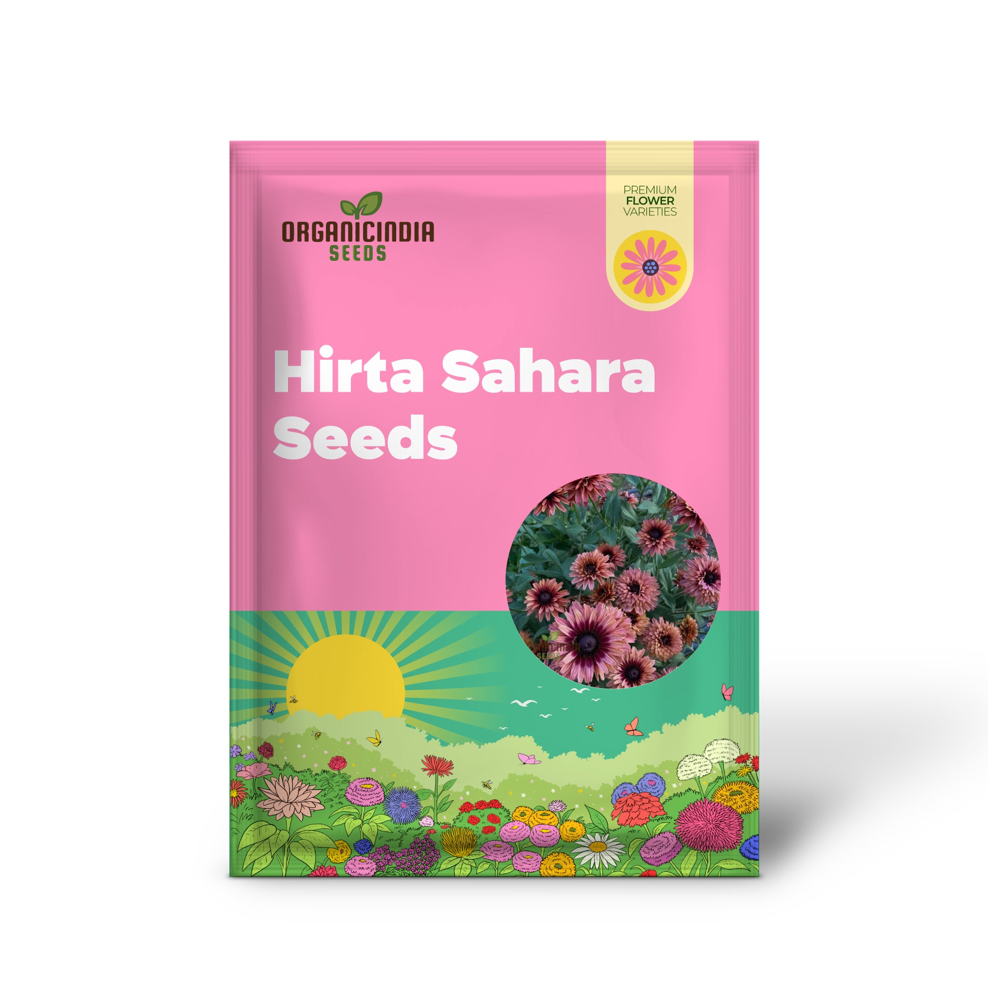 Rudbeckia Hirta Sahara Seeds for Gardening