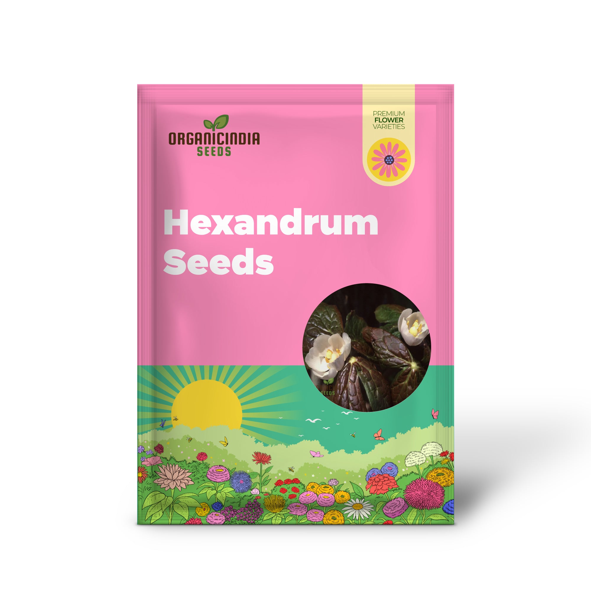 Graines de Podophyllum Hexandrum (Emodi) – Améliorez votre expérience de jardinage avec des fleurs uniques et frappantes !