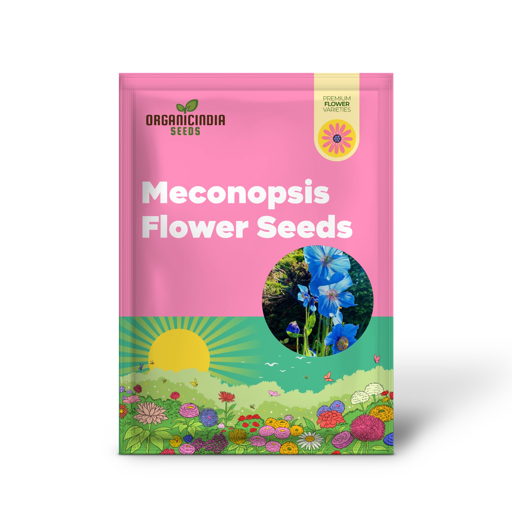 Meconopsis Grandis Flower Seeds, Stunning Blue Himalayan Poppy Seeds for Gardening, Perennial Blooms for Your Garden