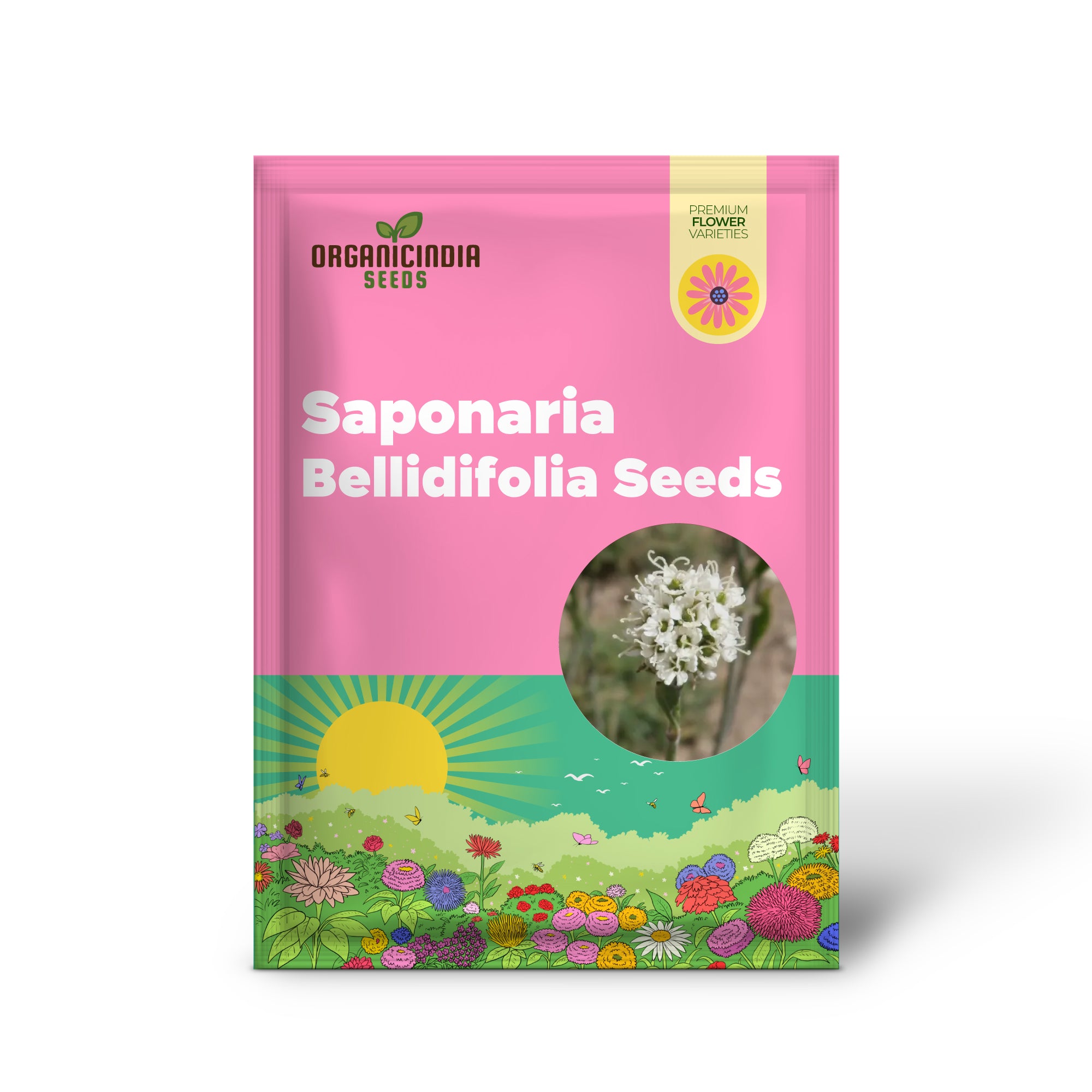 Graines de Saponaria Bellidifolia pour les amateurs de jardinage | Achetez des graines de fleurs biologiques en ligne