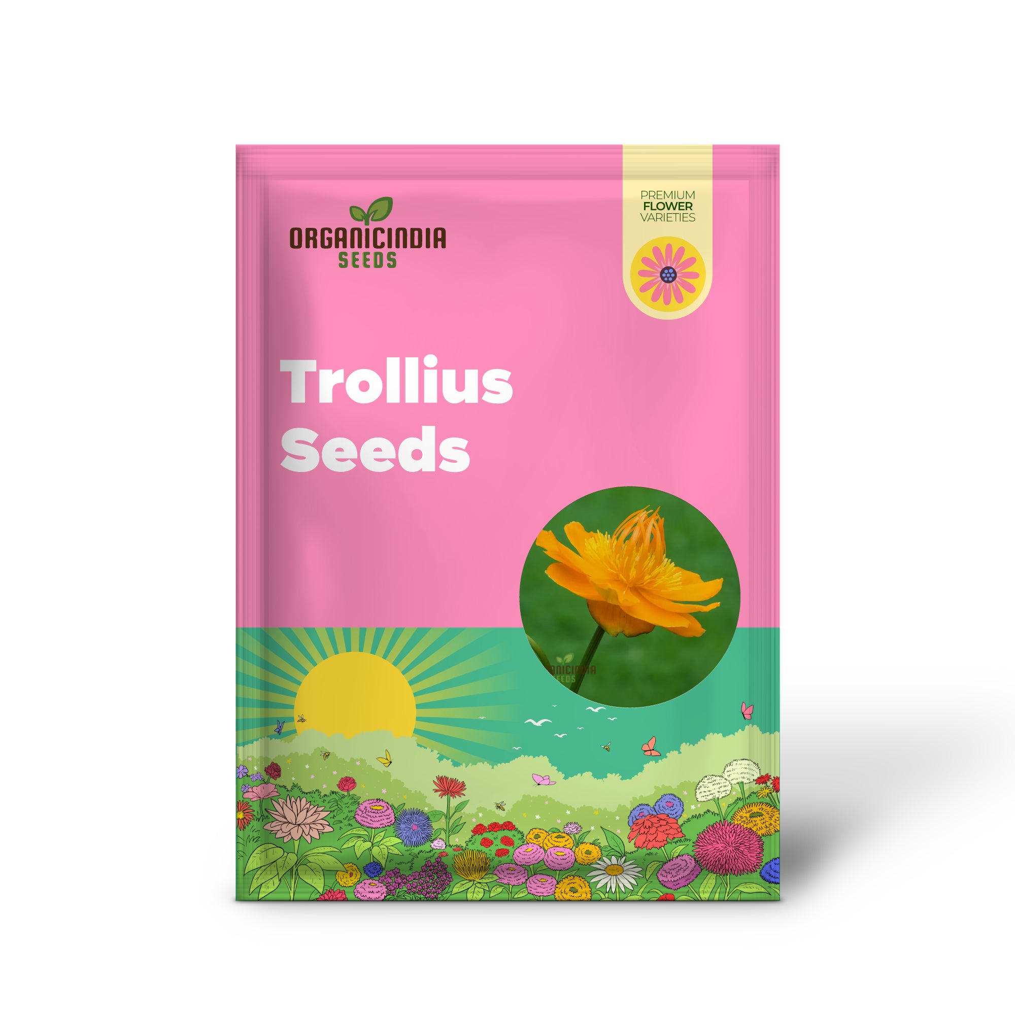 Graines de Trollius Chinensis – Des fleurs vivaces rares pour embellir votre jardin