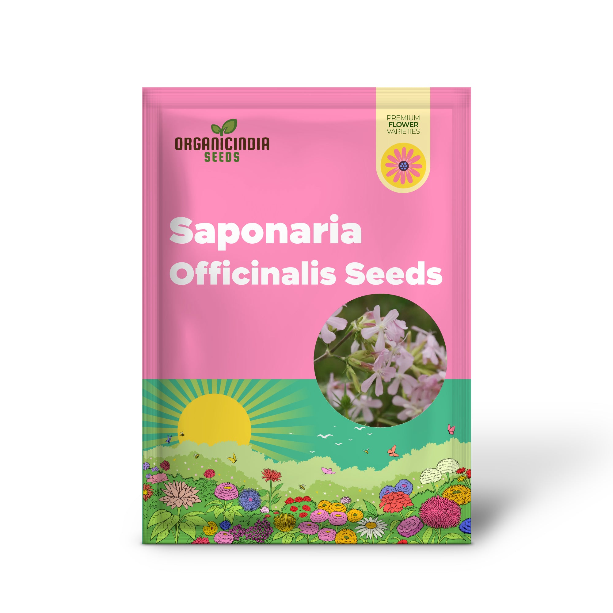 Saponaria Officinalis Seeds for Gardening | Premium Quality Flower Seeds for Beautiful and Lush Gardens