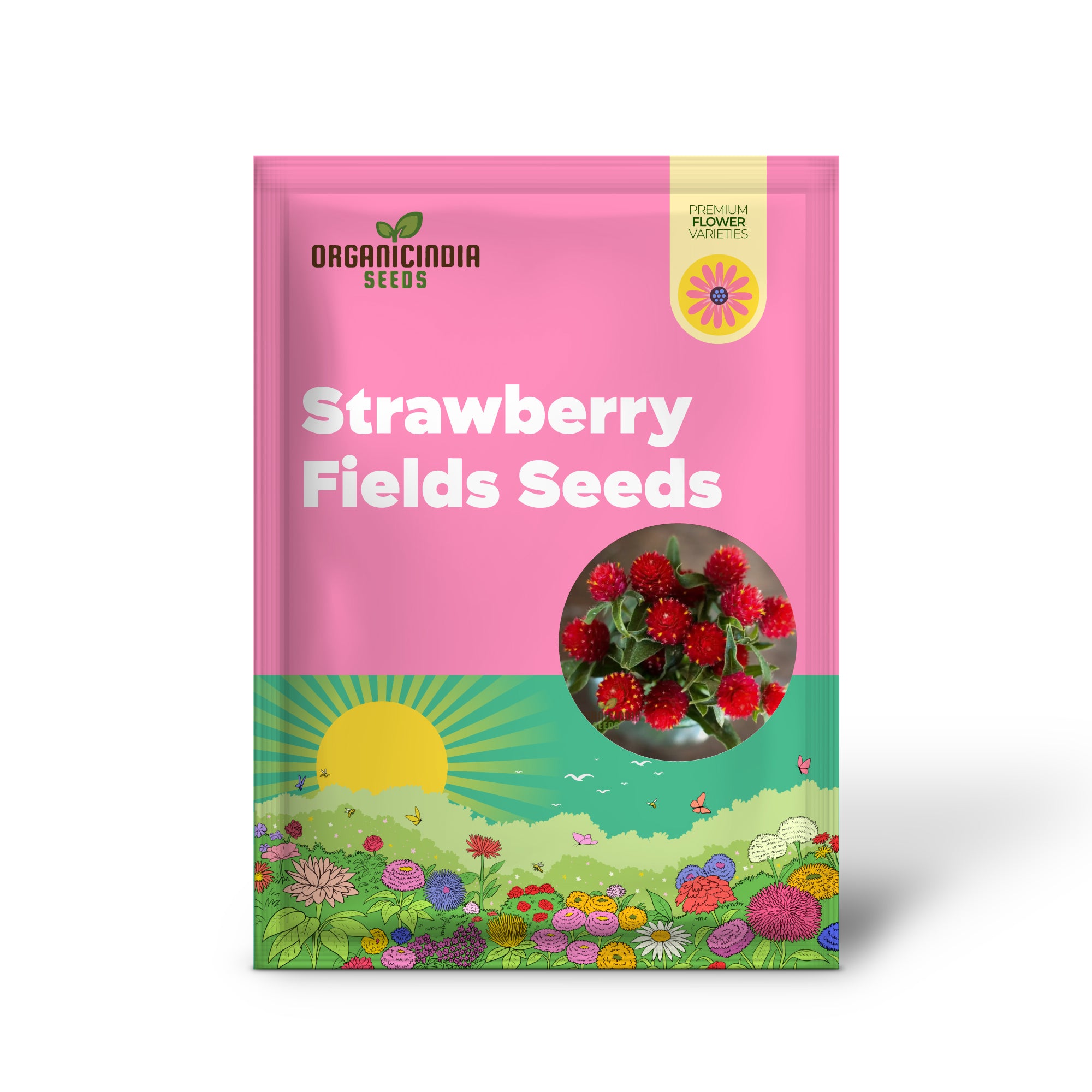 Amaranth - Strawberry Fields Seeds for Planting Enhance Your Gardening Experience with Vibrant Blooms and Lasting Beauty!