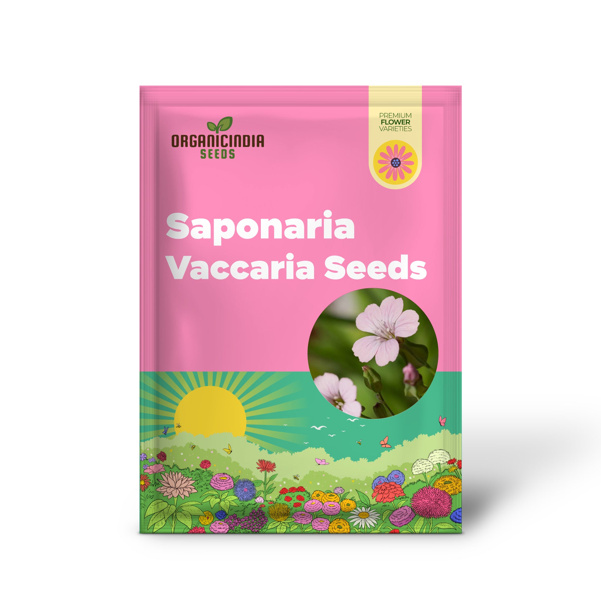 Graines de Saponaria Vaccaria 'Pink Beauty' - Délices de jardinage pour votre jardin, graines biologiques de qualité supérieure