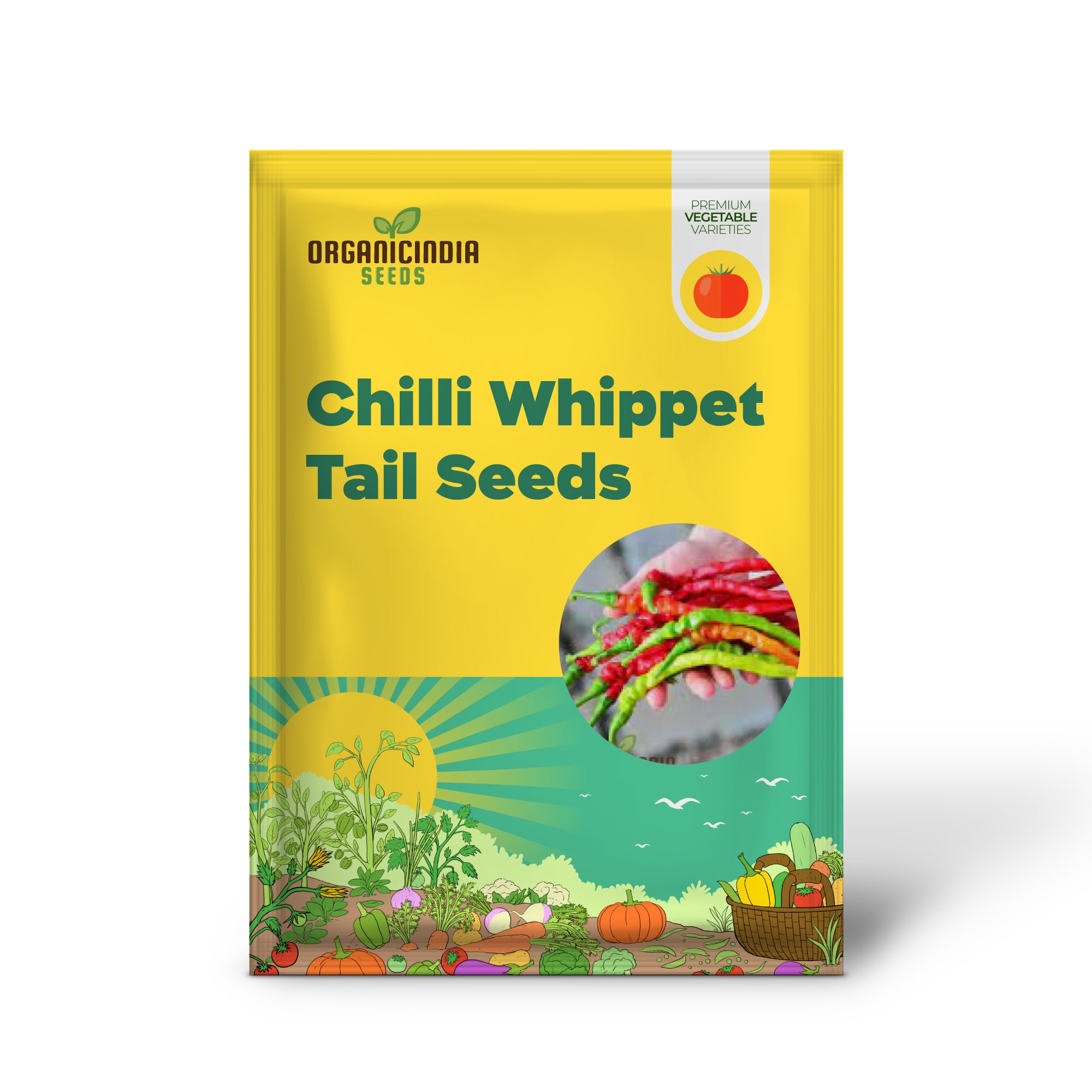 Chilli - Bangalore Whippet's Tail Seeds for Planting and Gardening