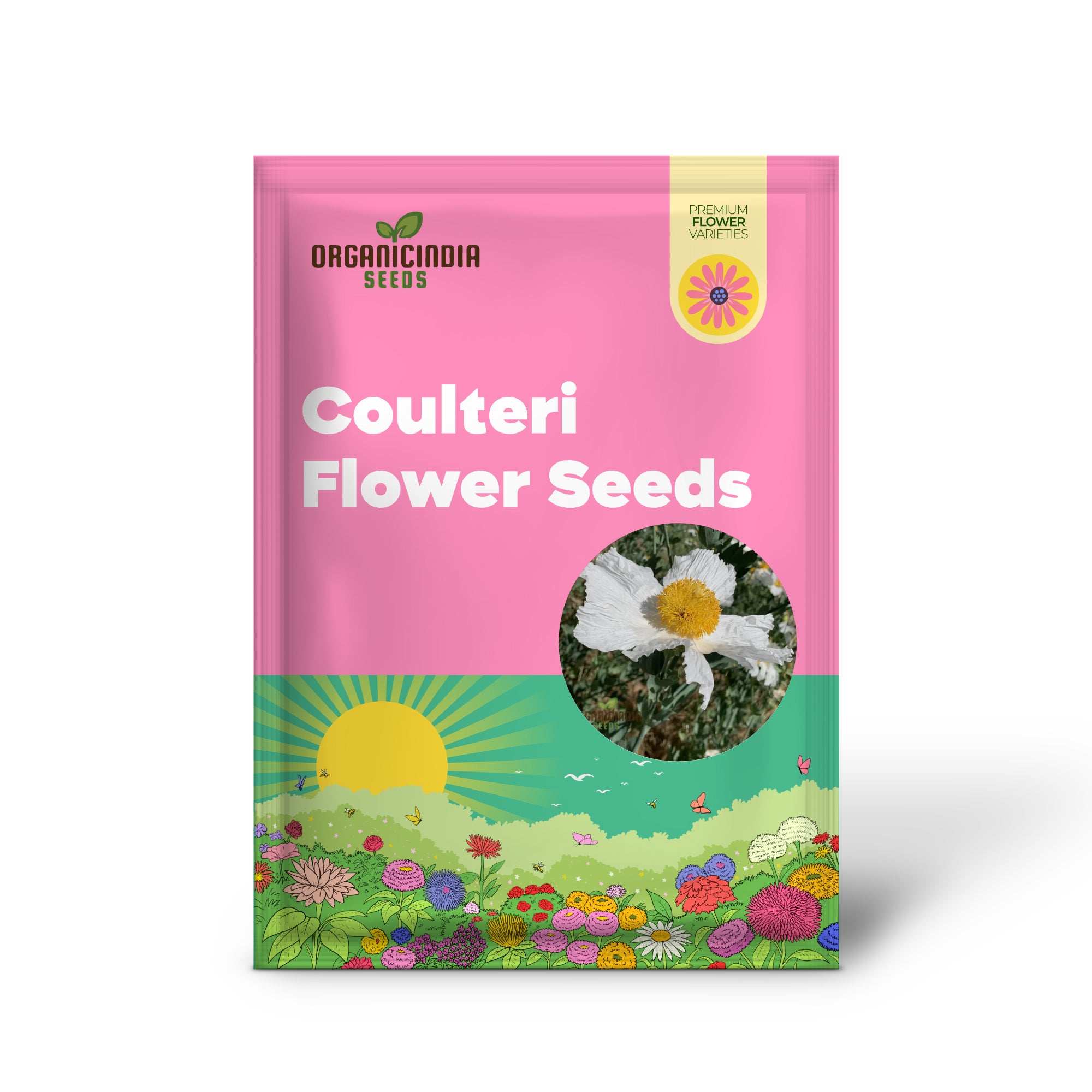 Graines de fleurs de Romneya Coulteri à planter, cultiver de superbes pavots blancs pour votre jardin