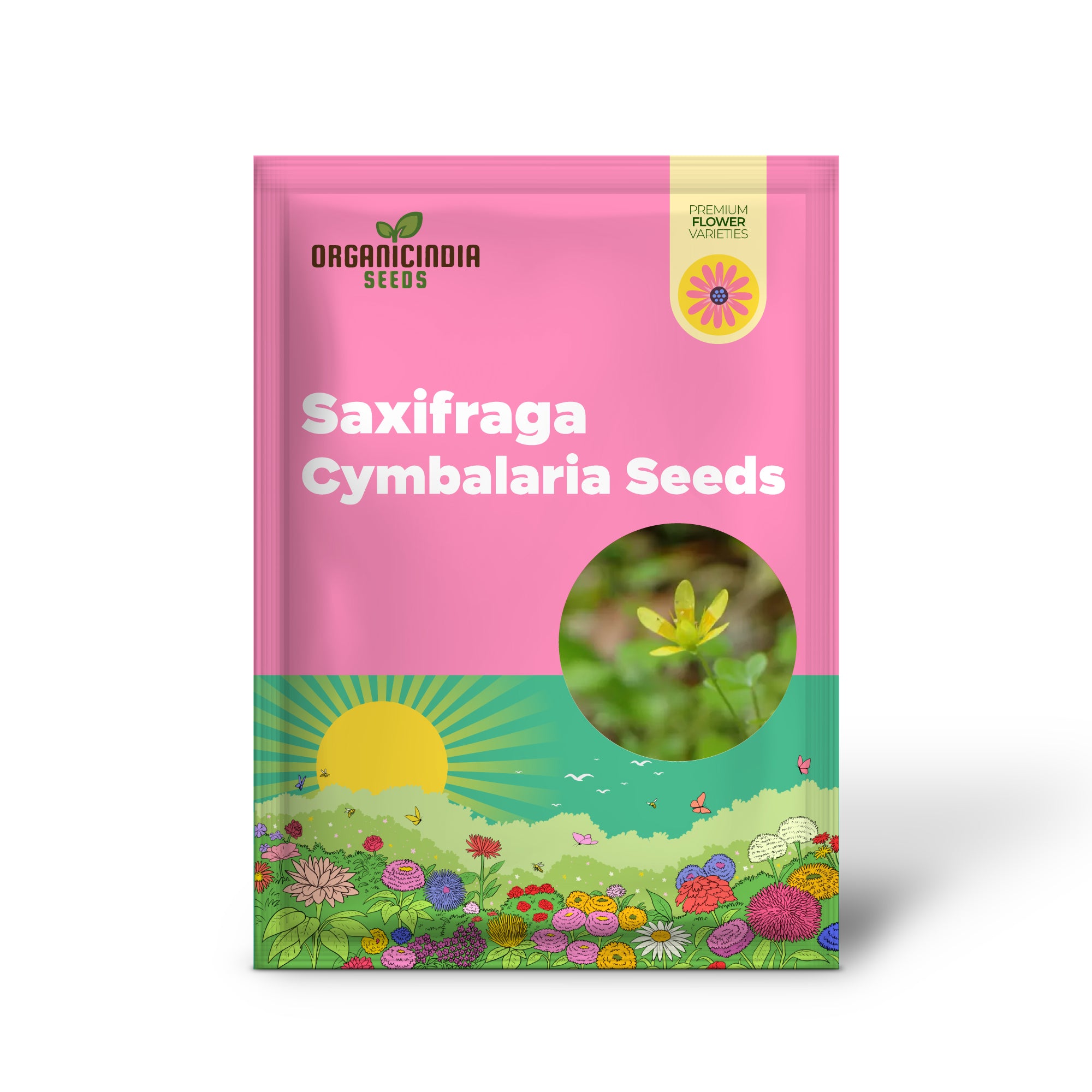 Graines de Saxifraga Cymbalaria pour les amateurs de jardinage | Achetez des graines de plantes alpines rares en ligne