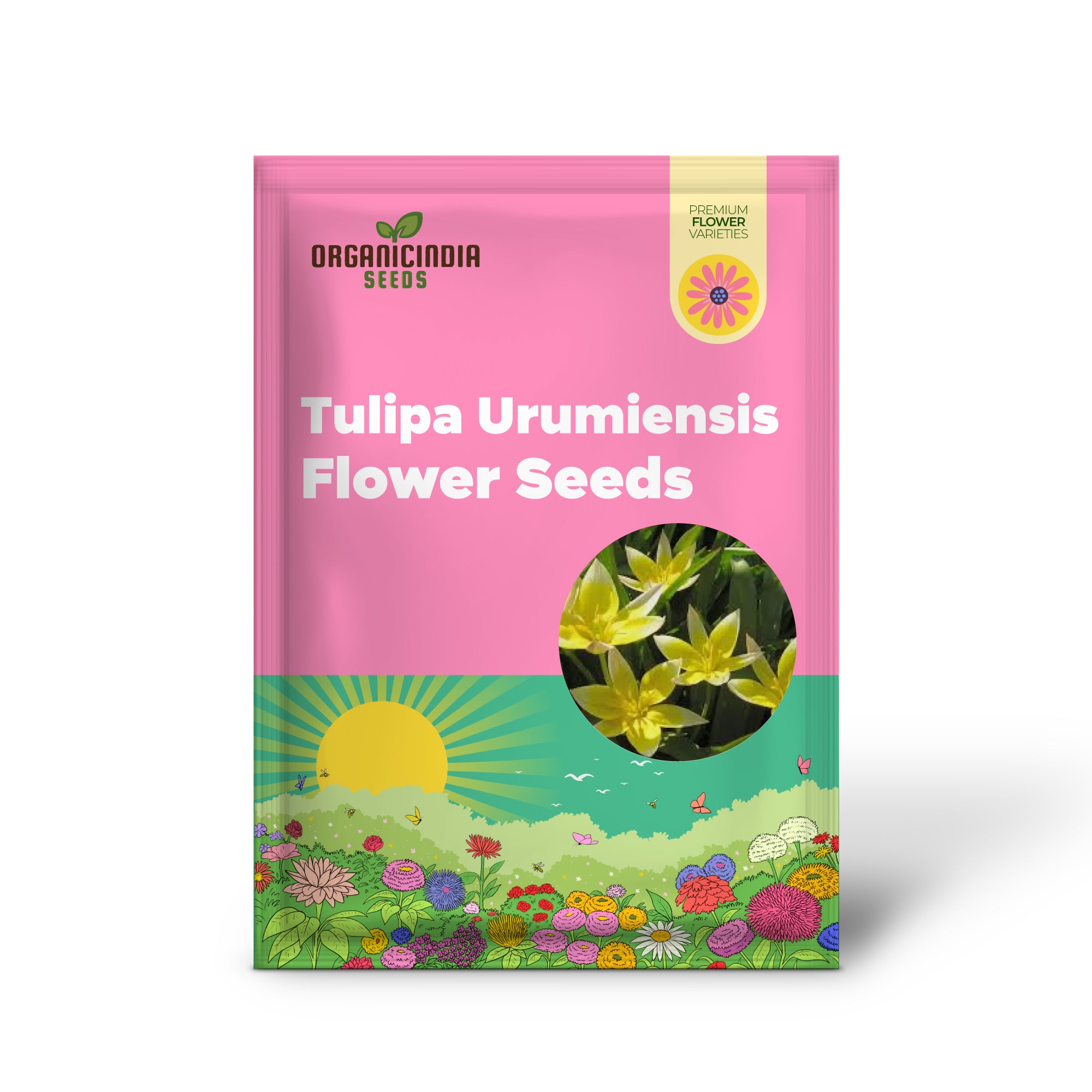 Tulipa Urumiensis Flower Seeds - Ideal for Planting and Gardening Enthusiasts