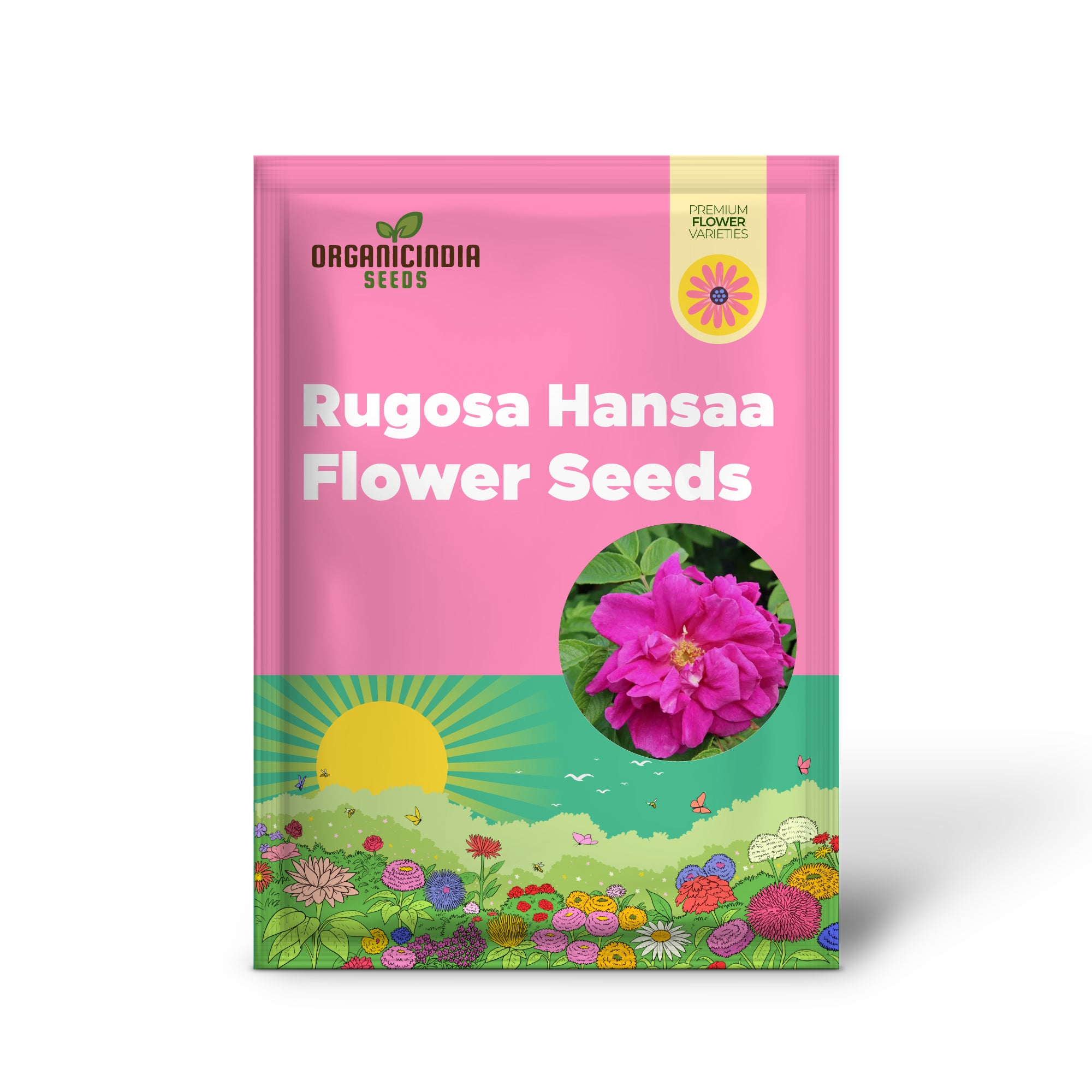 Graines de fleurs Rosa Rugosa Hansaa à planter, un guide complet de plantation et de culture pour de belles
