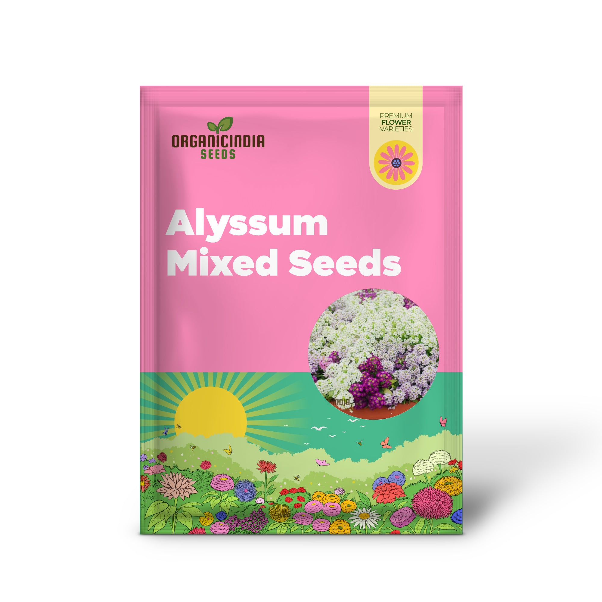 Alyssum Magic Circles Mixed Seeds for Planting and Gardening - Premium Quality Seeds