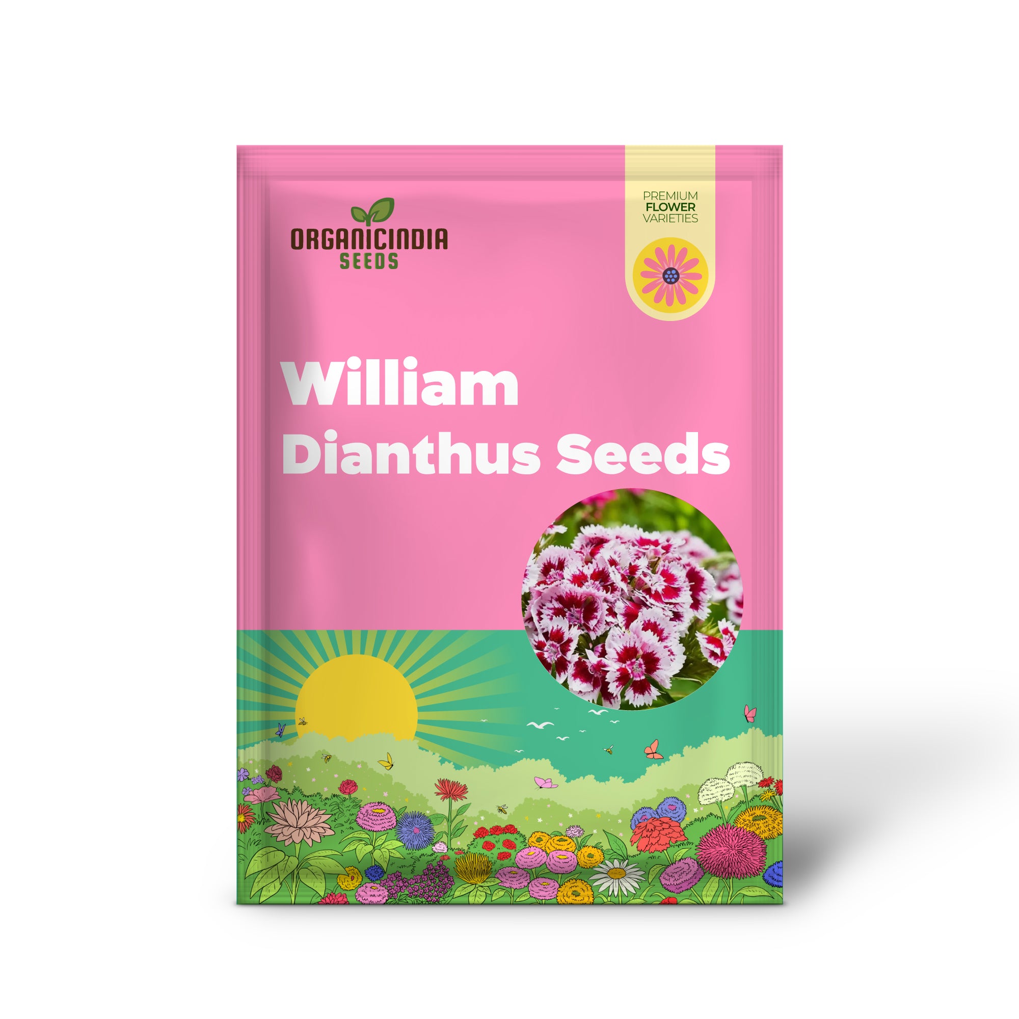 Sweet William Dianthus Summertime Mix Seeds for Planting and Gardening