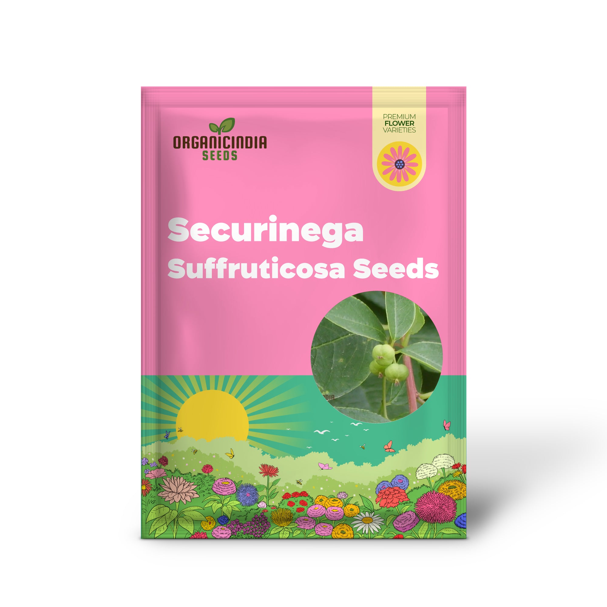 Graines de Securinega Suffruticosa pour le jardinage | Achetez des graines de Securinega Suffruticosa biologiques en ligne | Parfaites pour les jardins familiaux et l'aménagement paysager