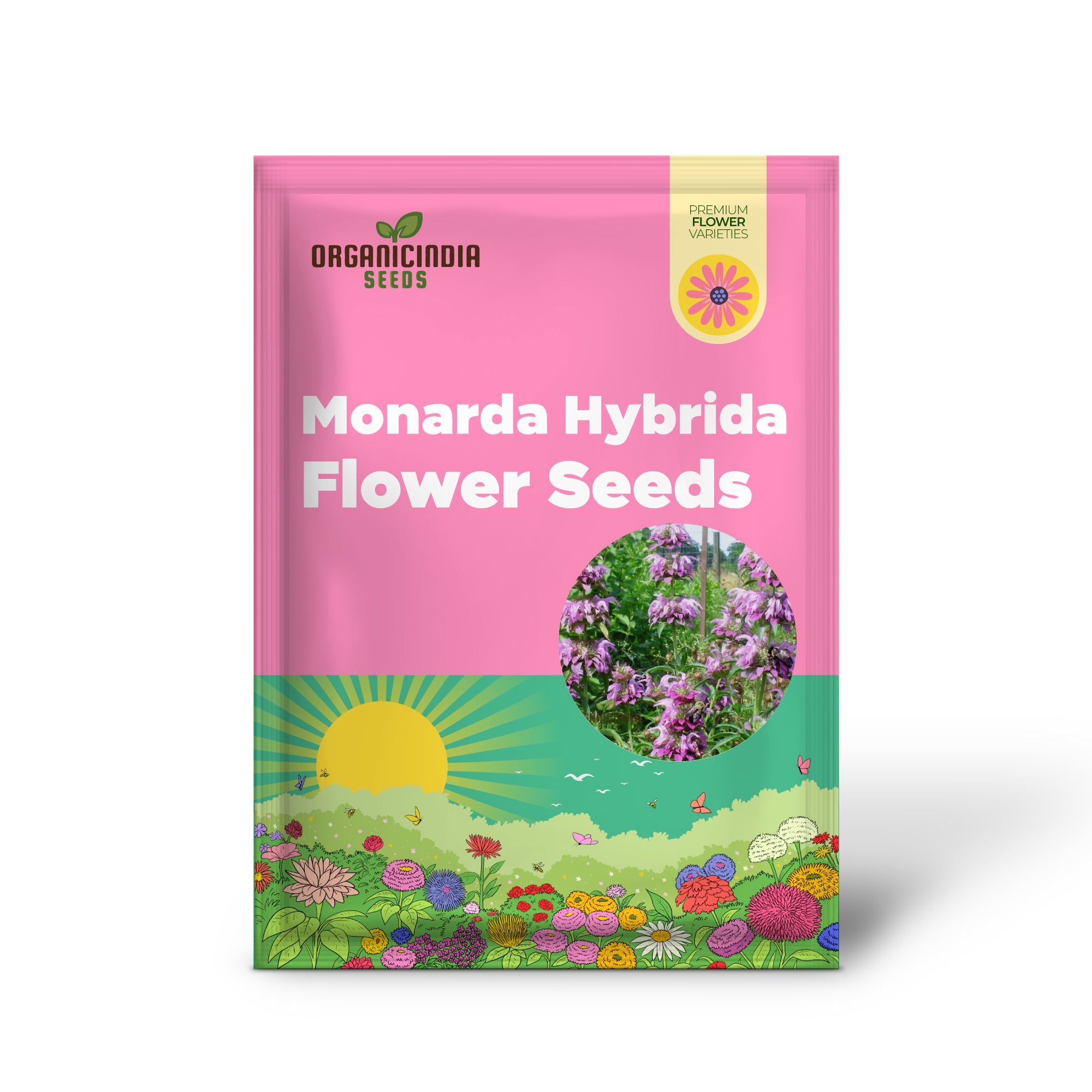 Monarda Hybrida 'Lambada' Flower Seeds for Planting, Vibrant Perennial Blooms for Gardening