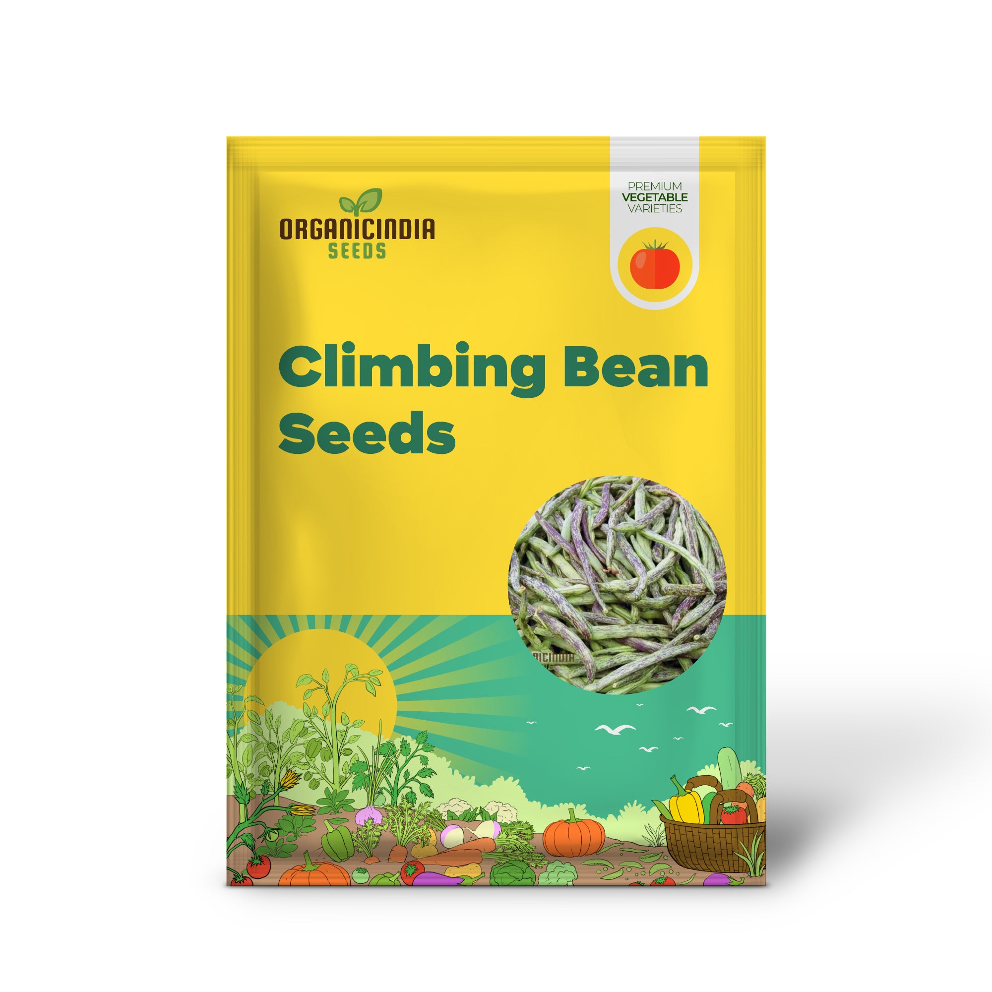 Bean Climbing - Rattlesnake Seeds for Your Gardening Adventures | Heirloom Seeds for Climbing Beans