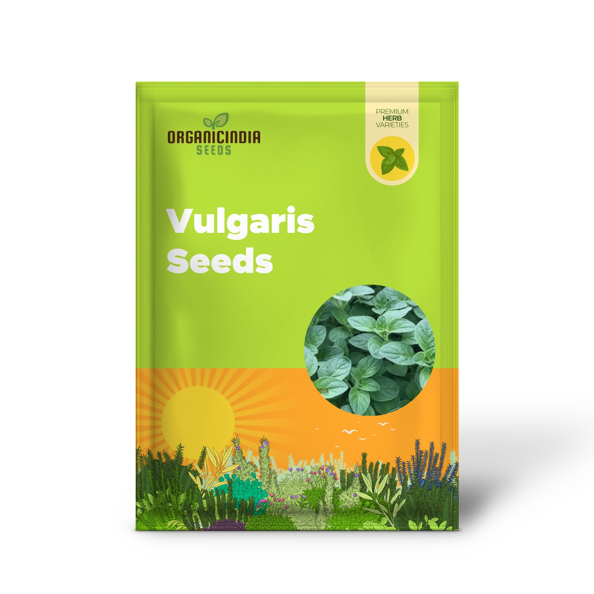 Graines de Vulgaris – Qualité supérieure pour les amateurs de plantation et de jardinage