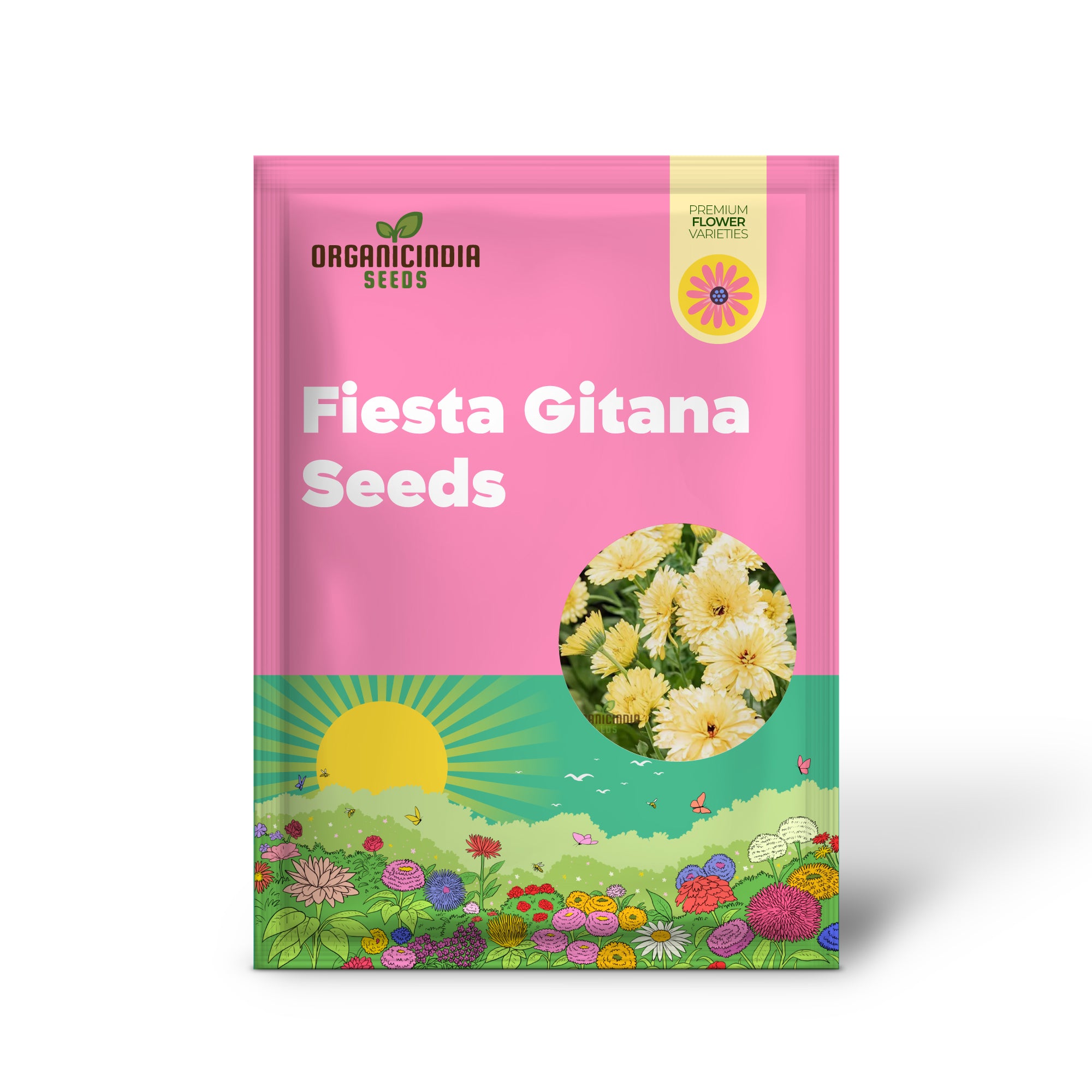 Graines de Calendula officinalis Fiesta Gitana blanc crème pour le jardinage | Graines de fleurs biologiques