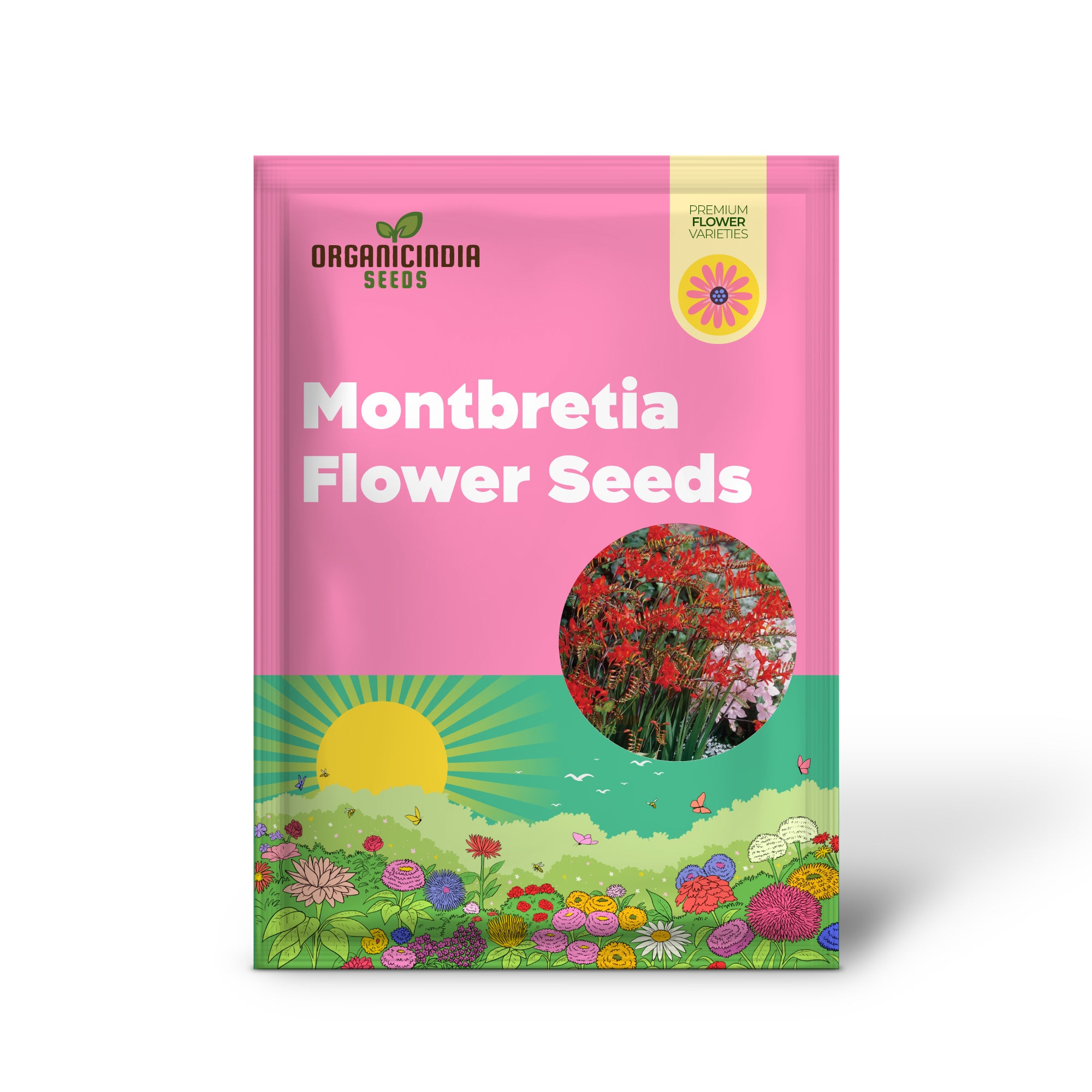 Crocosmia Montbretia Flower Seeds For Planting, Vibrant Orange and Red Blooms for Your Garden