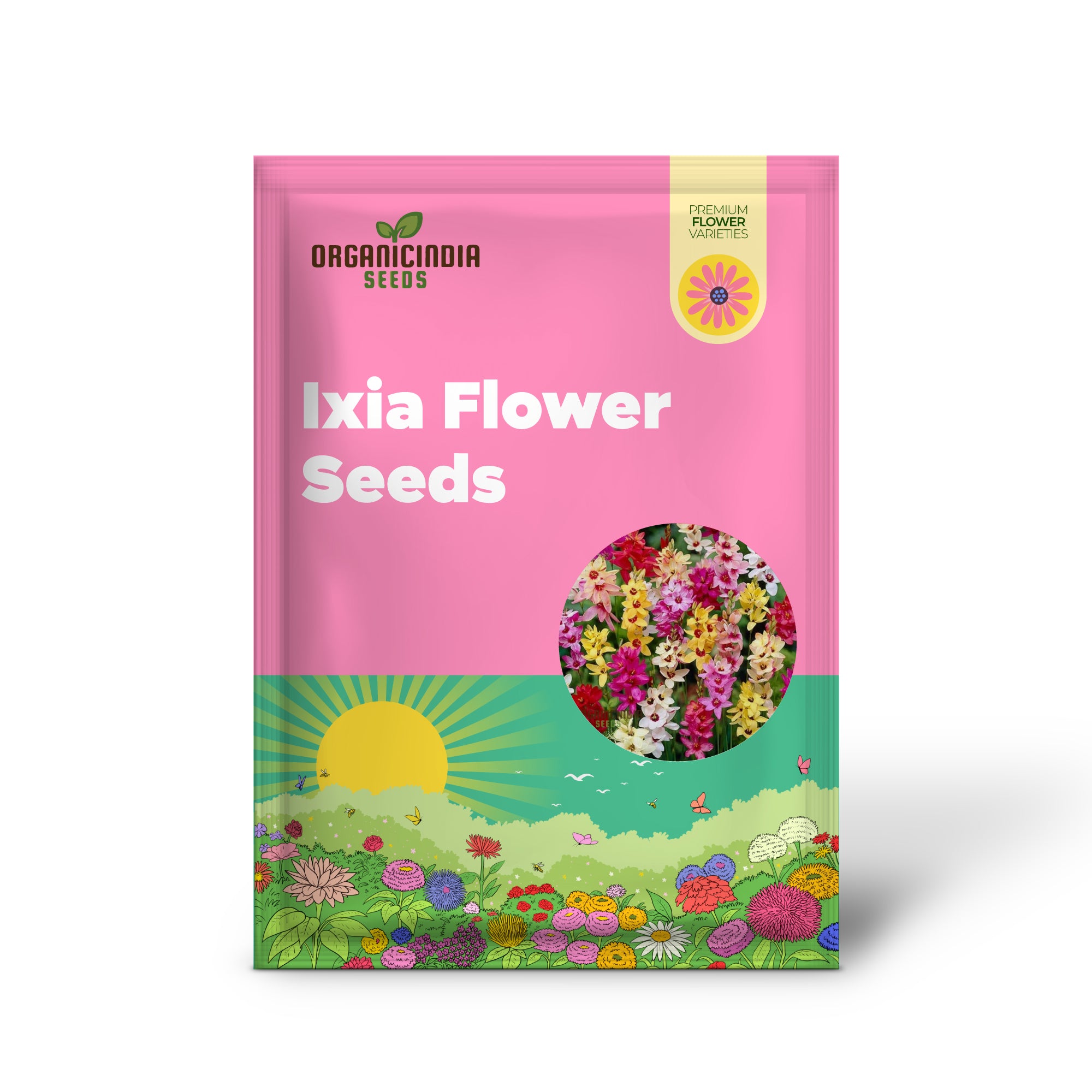 Ixia Flower Seeds For Planting, Vibrant Blooms for Beautiful Garden Displays