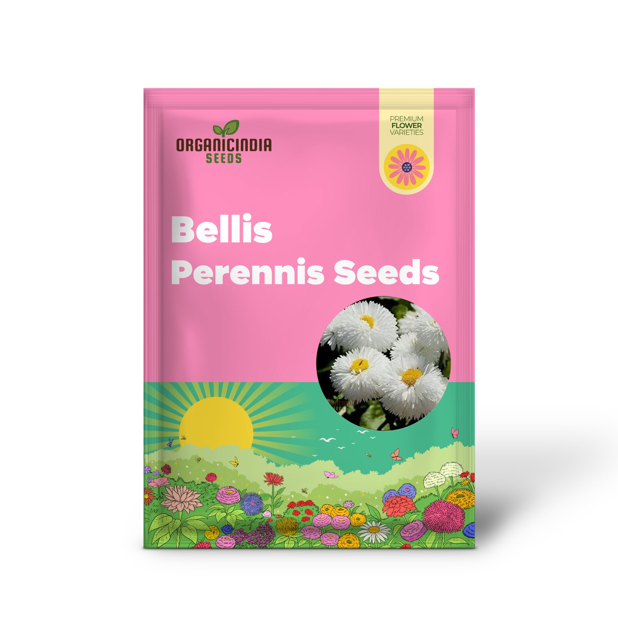 NM - Daisy Double Mix (Bellis perennis) Seeds for Planting and Gardening