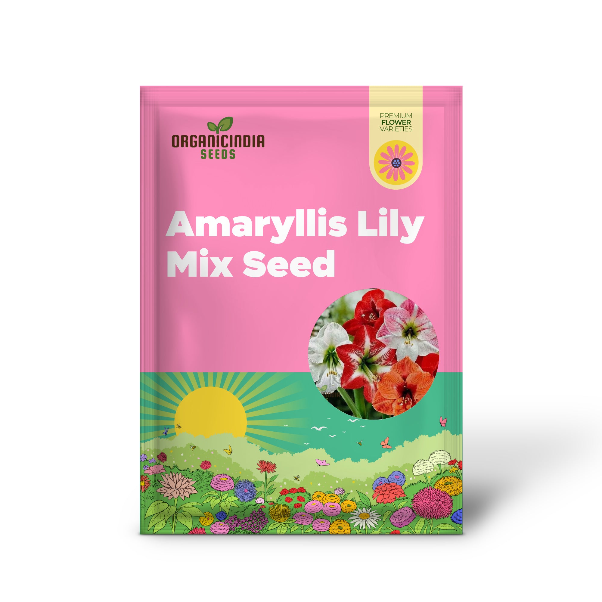 Amaryllis Lily Mix Seeds for Planting, Colorful Flowers for Gardening Enthusiasts